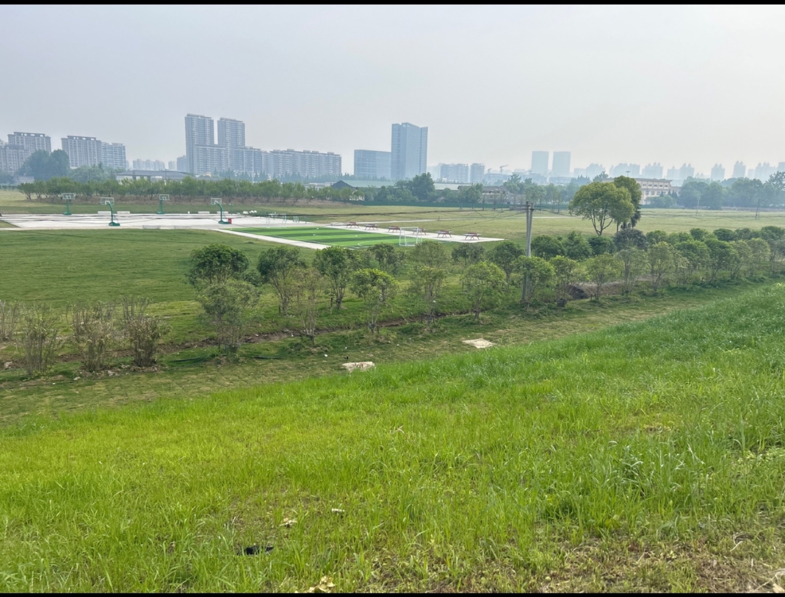 曙光绿化地块