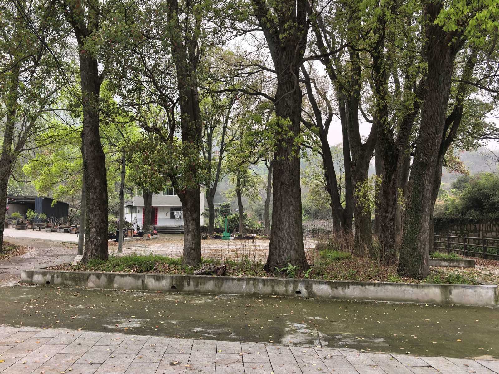 萧愻旧居现场图片