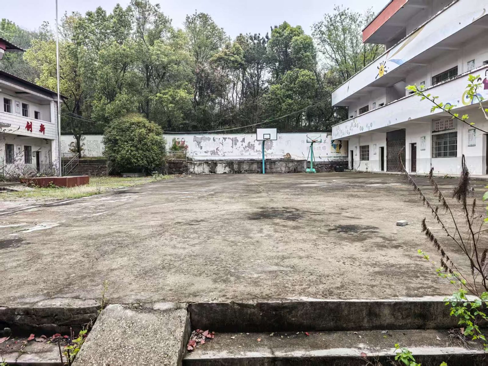 花山小学现场图片