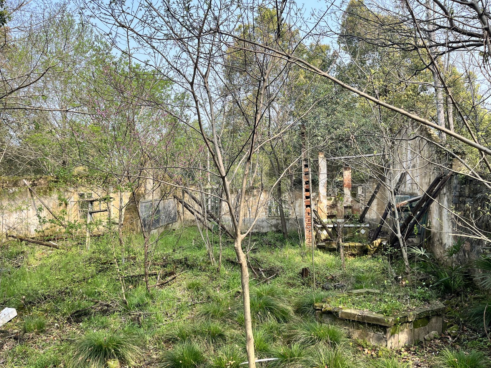 光明书院现场图片