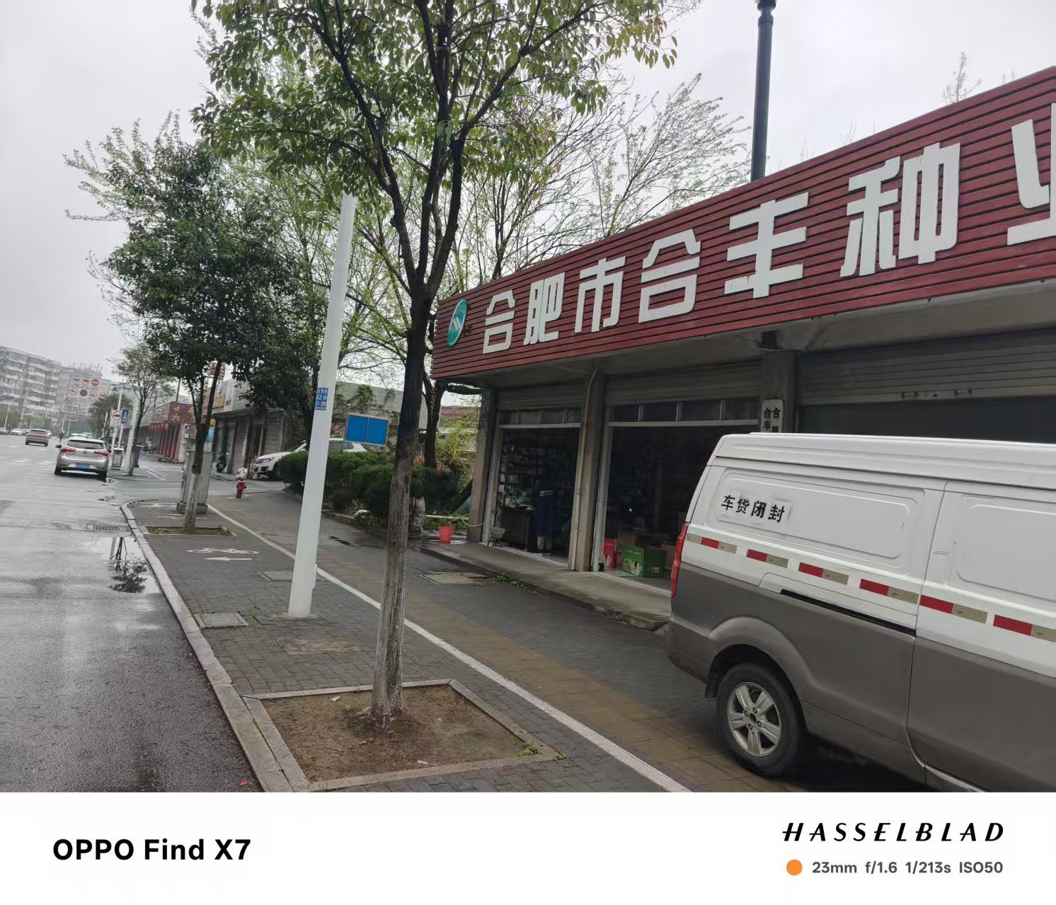 迎江区沿江路江堤18闸口西侧现场图片