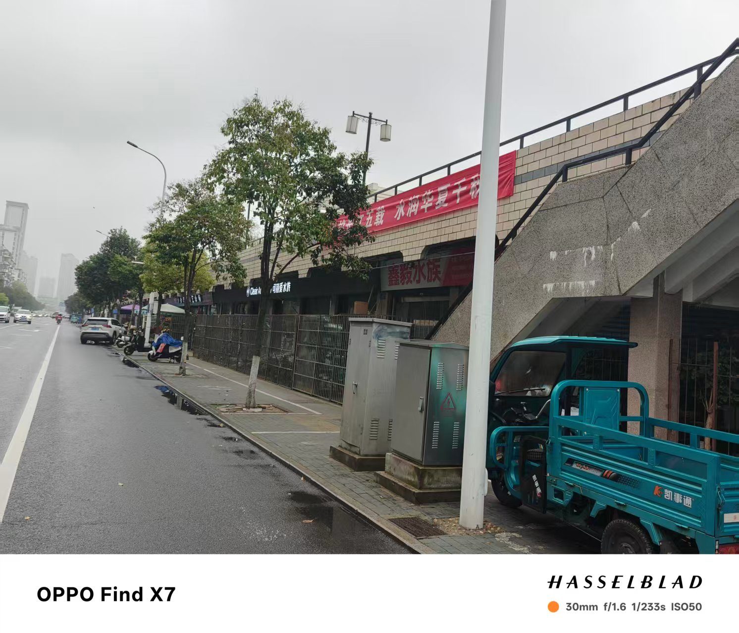 迎江区沿江路江堤11号-1现场图片