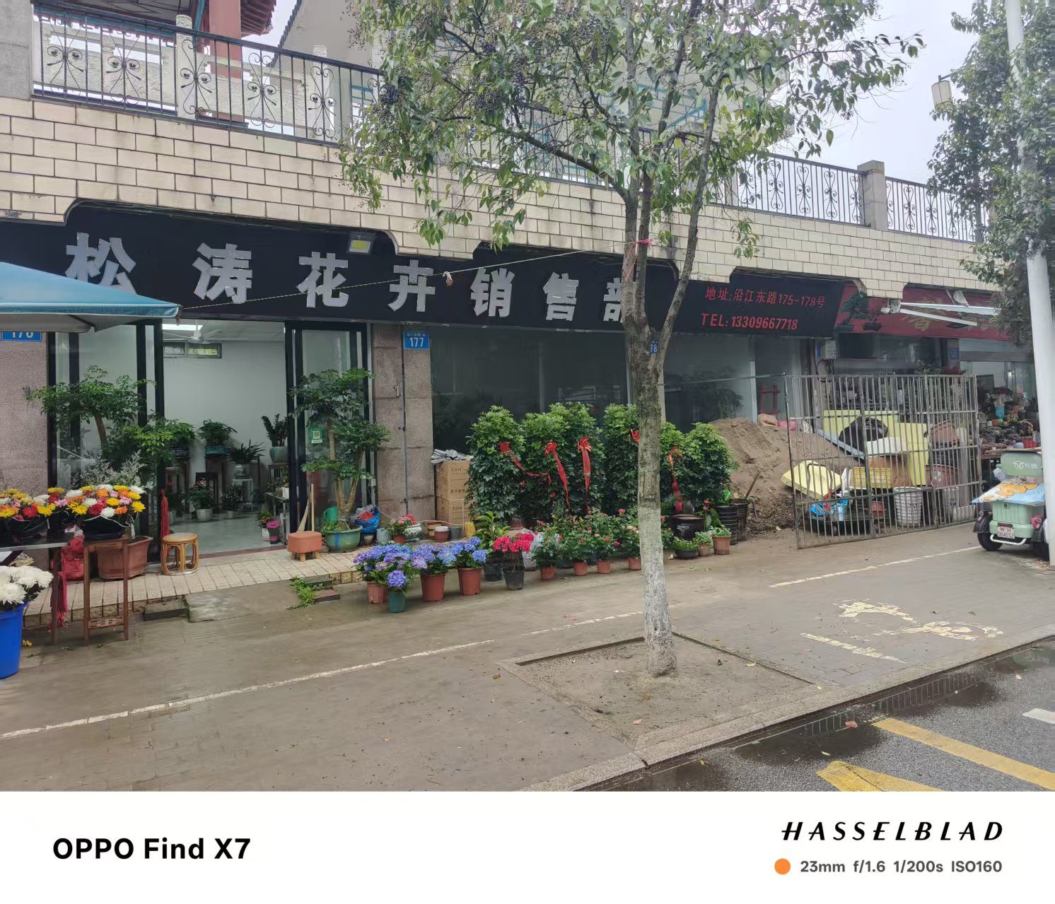 迎江区沿江路江堤（南）61-92号现场图片