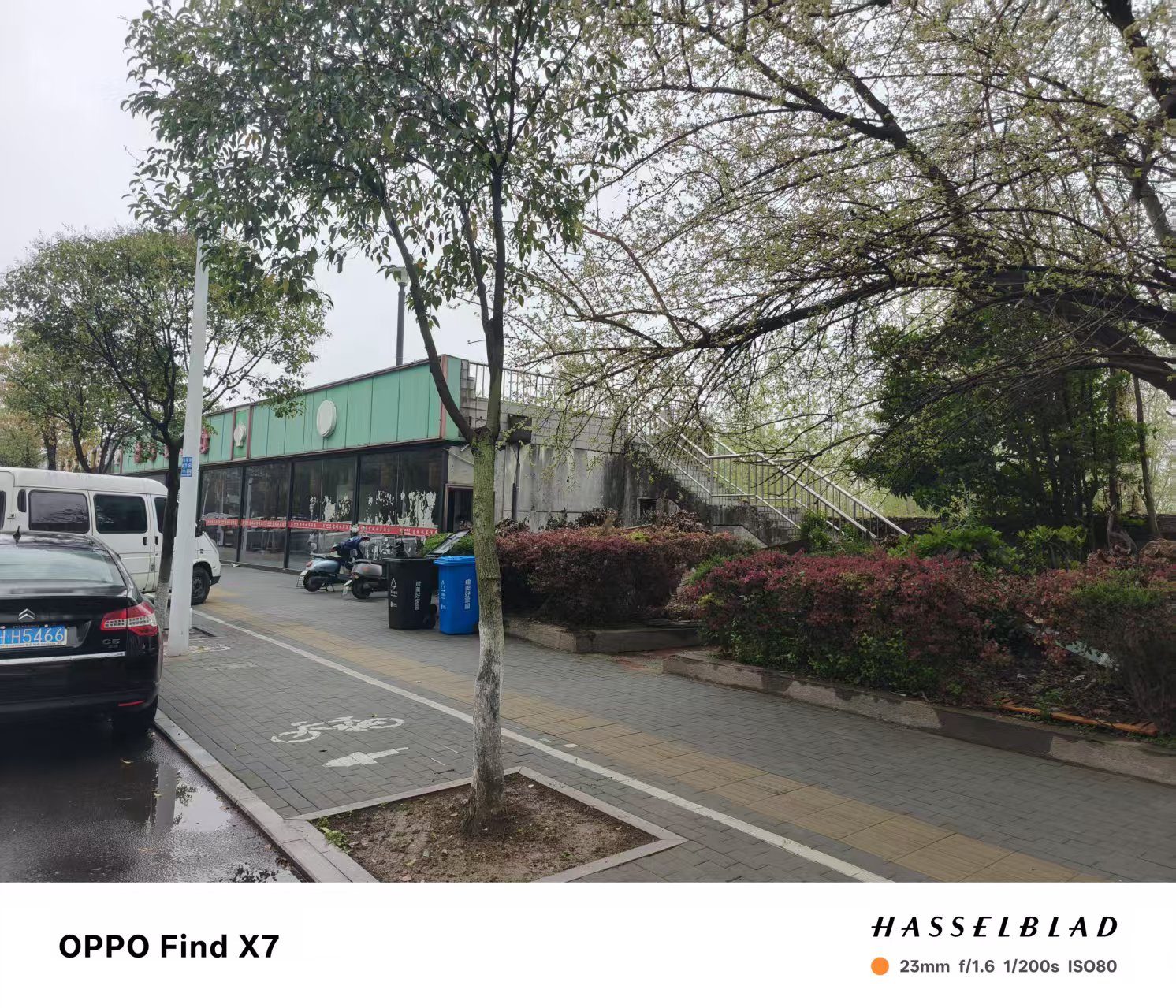 迎江区沿江路江堤(南)93-188号现场图片