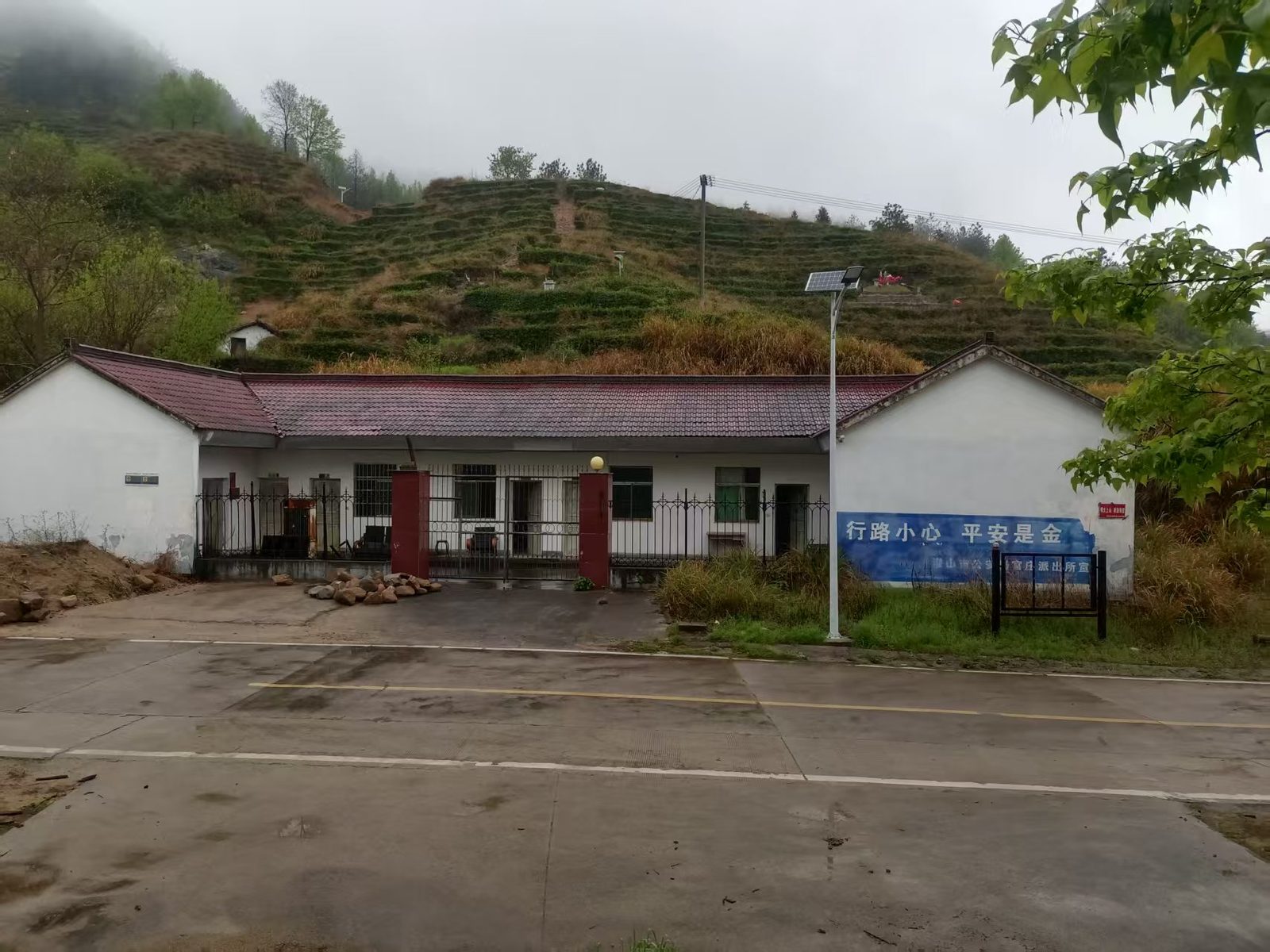 王庄茶厂现场图片