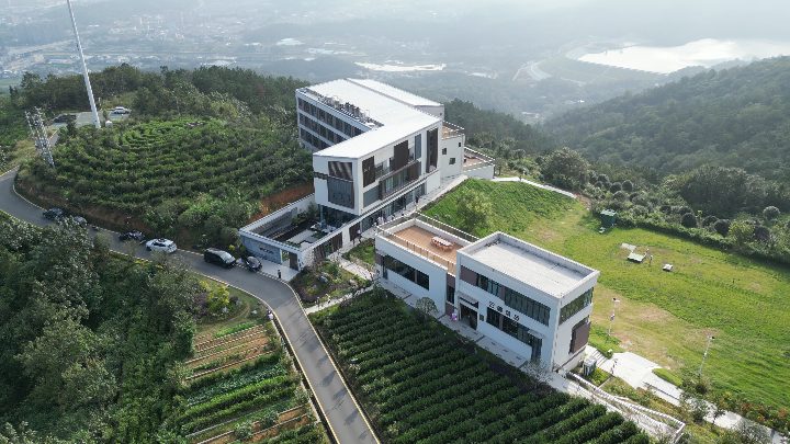 投子山栖民宿户外草坪现场图片