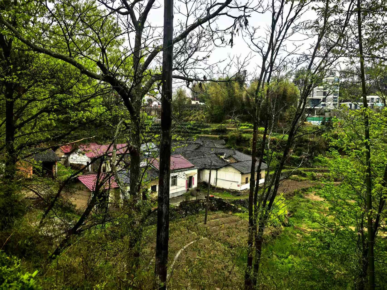 张湾古民居现场图片