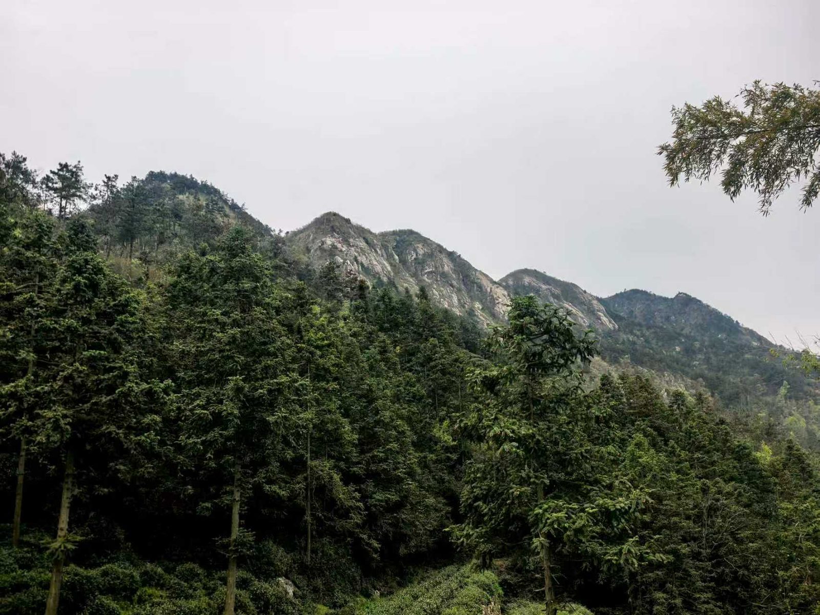大猫岩和小猫岩景点现场图片