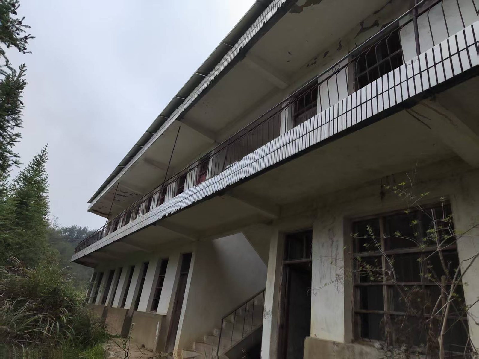 唐畈小学现场图片