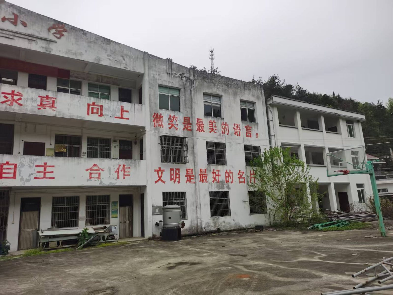 西河村小学现场图片