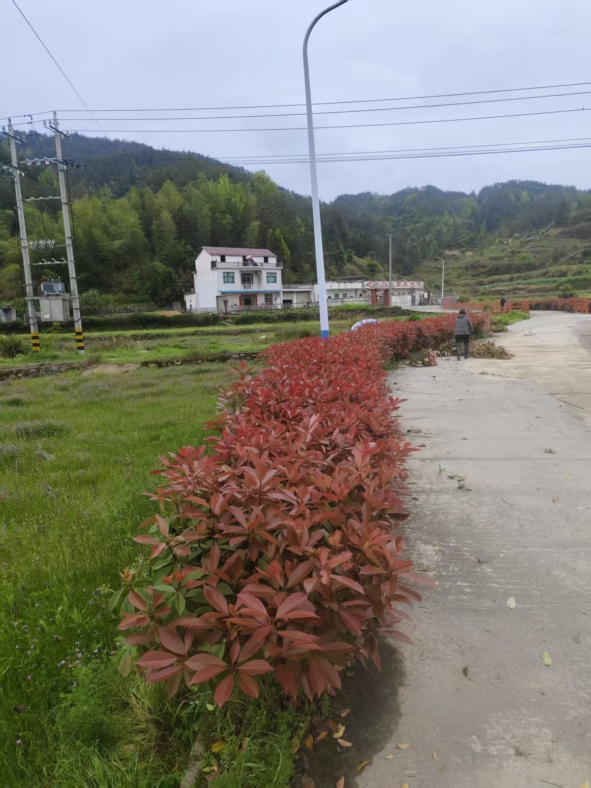 太湖县牛镇镇羊河村双河小学现场图片