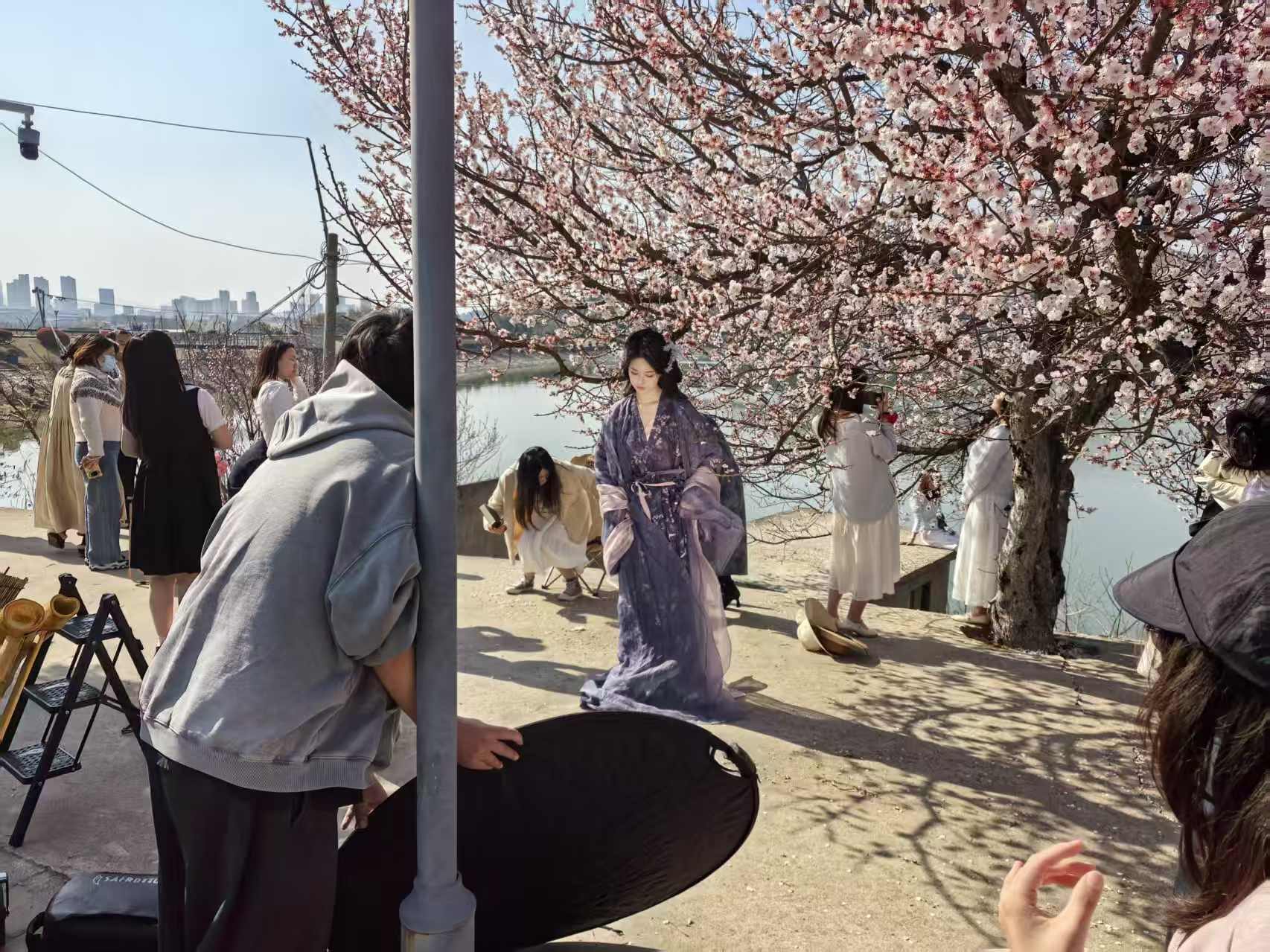 杏花树