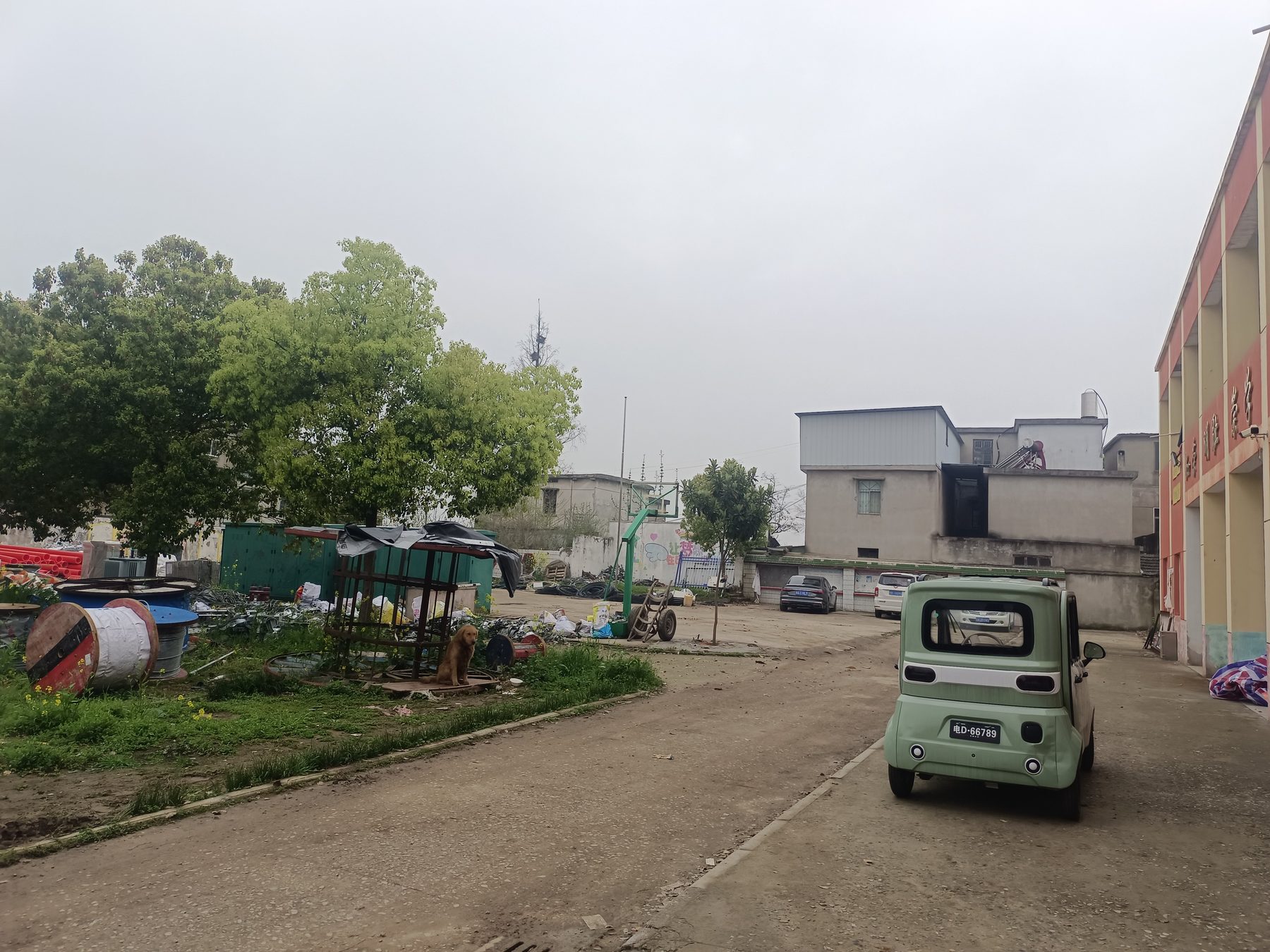 沈店小学图5