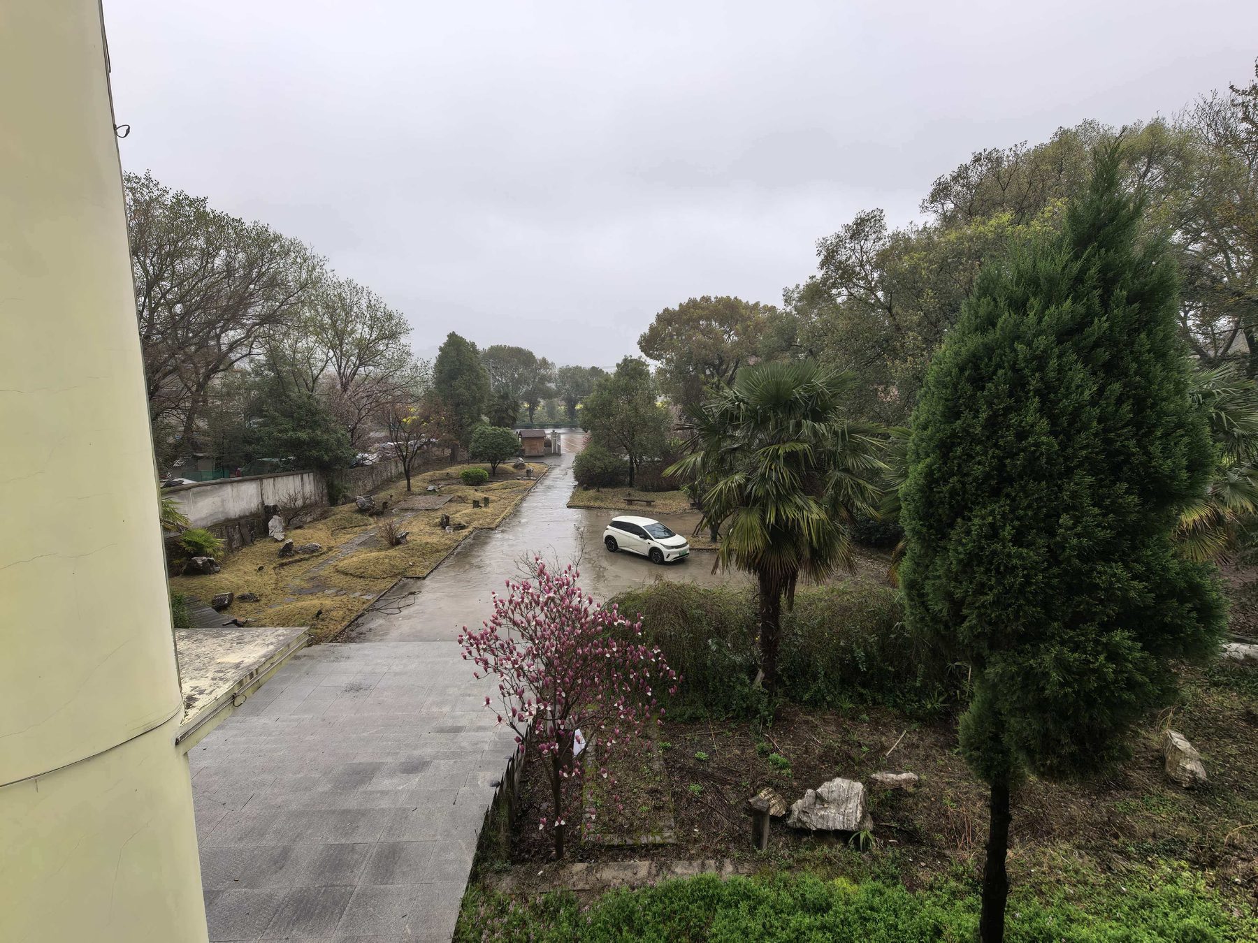 龙山小学图3