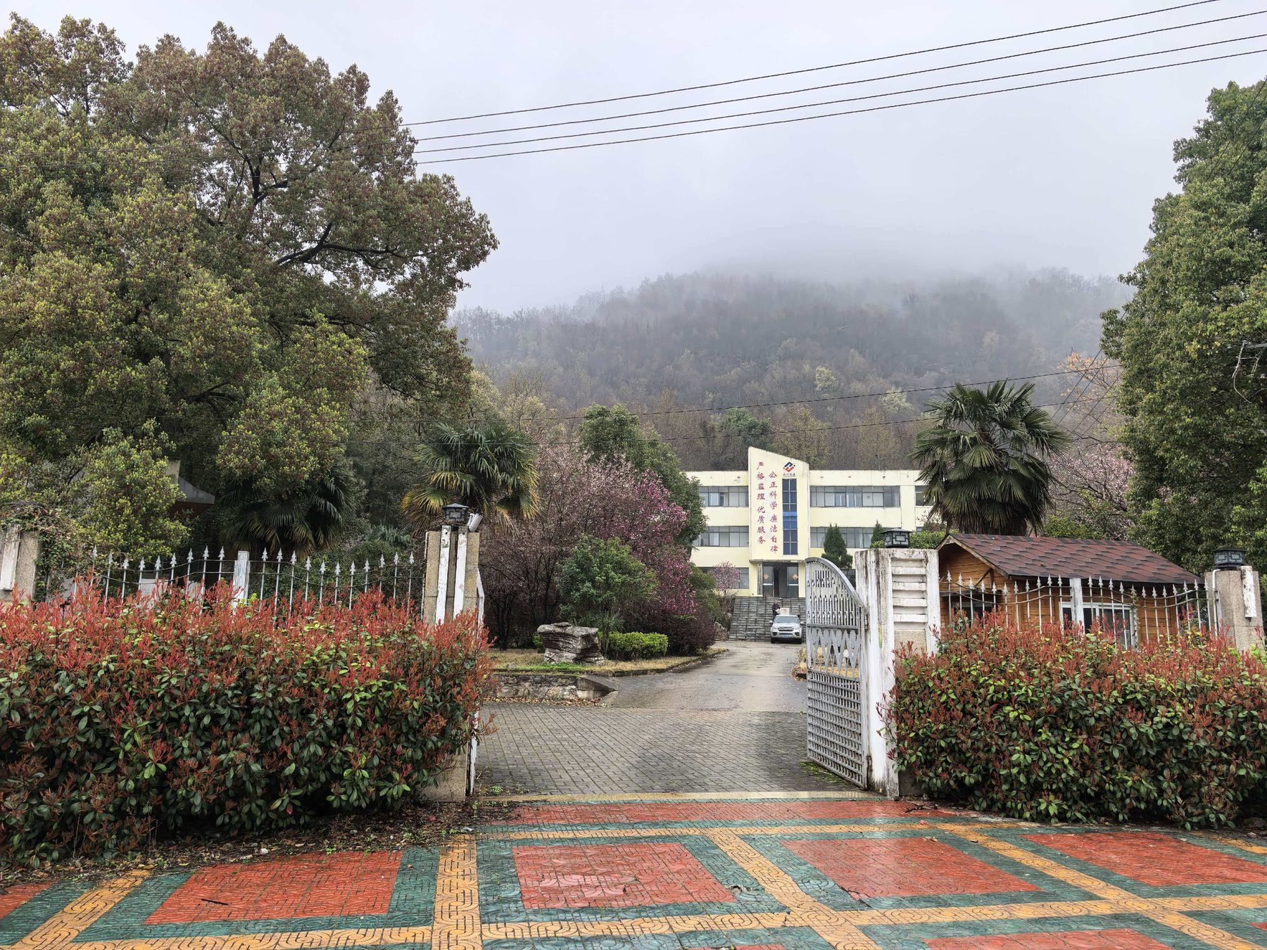 龙山小学图5
