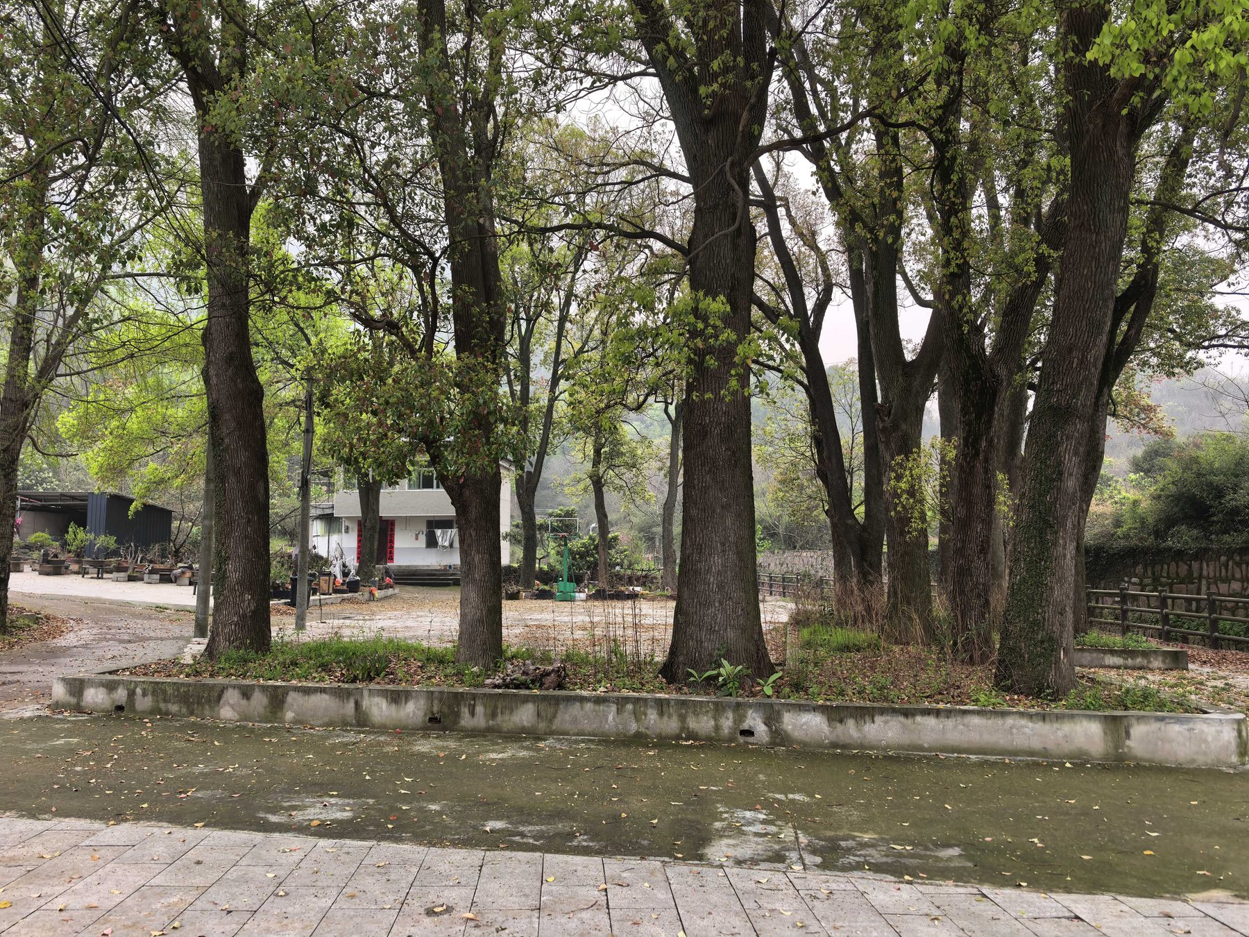 萧愻旧居