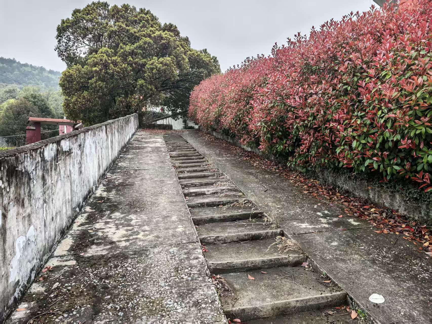 花山小学图3