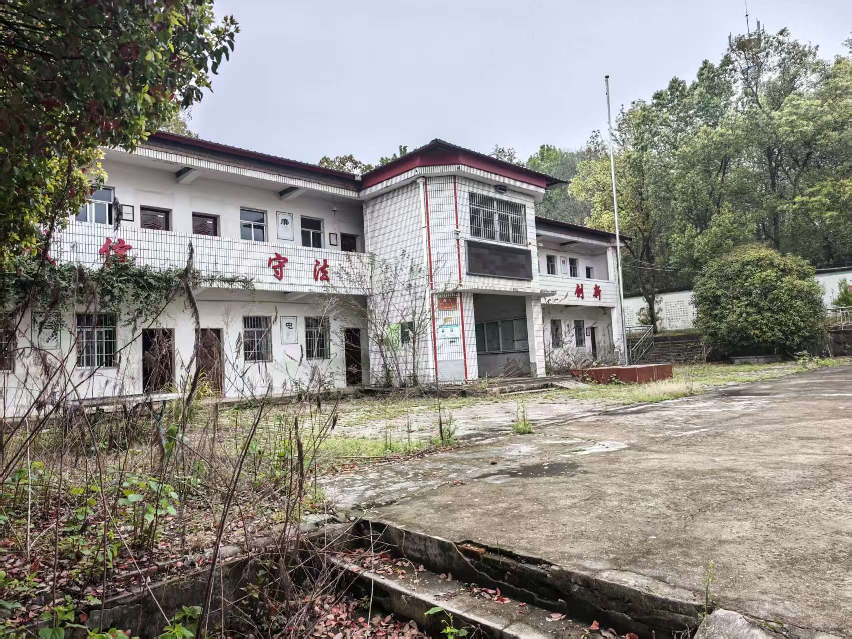 花山小学图4