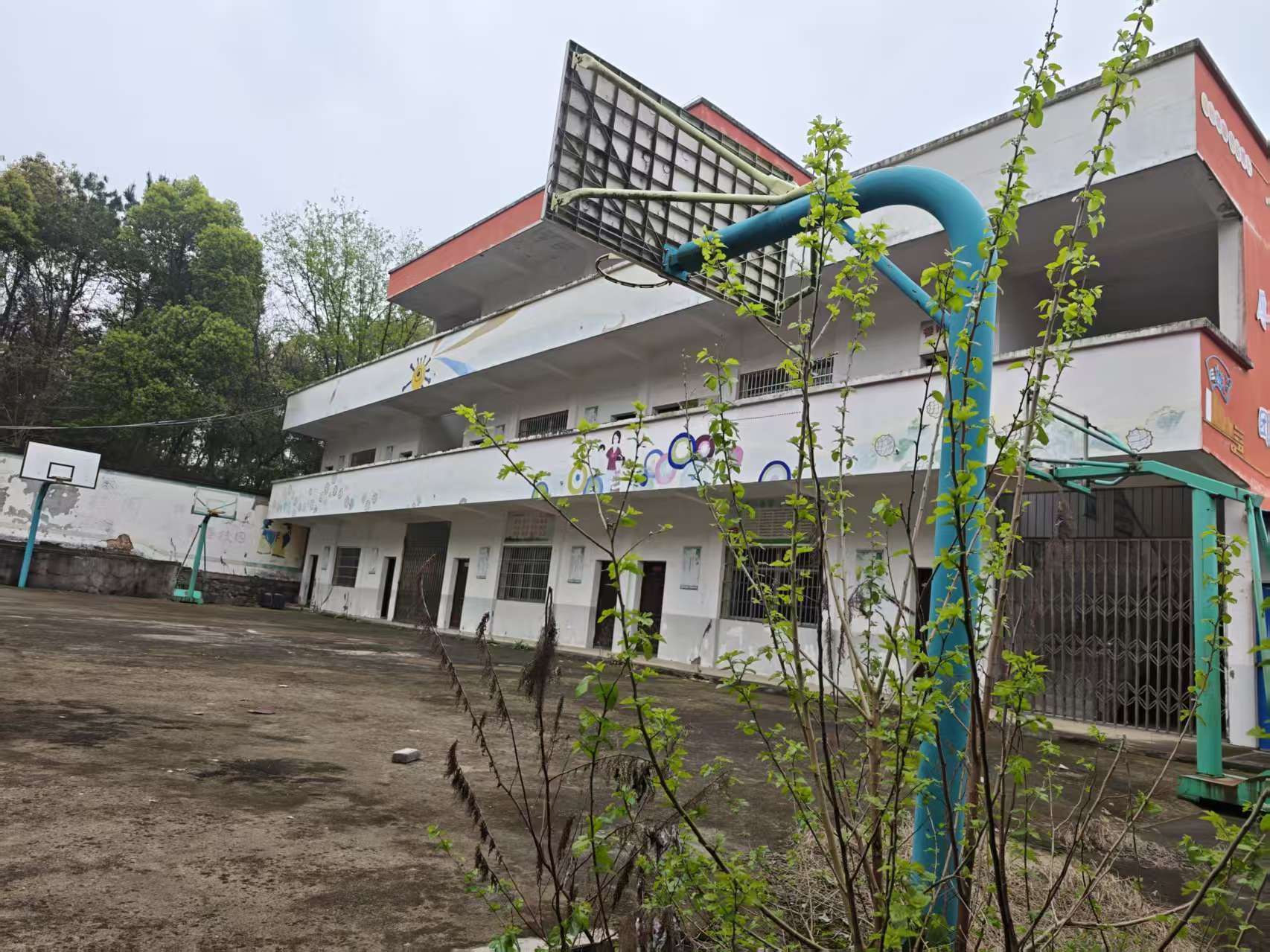 花山小学图5
