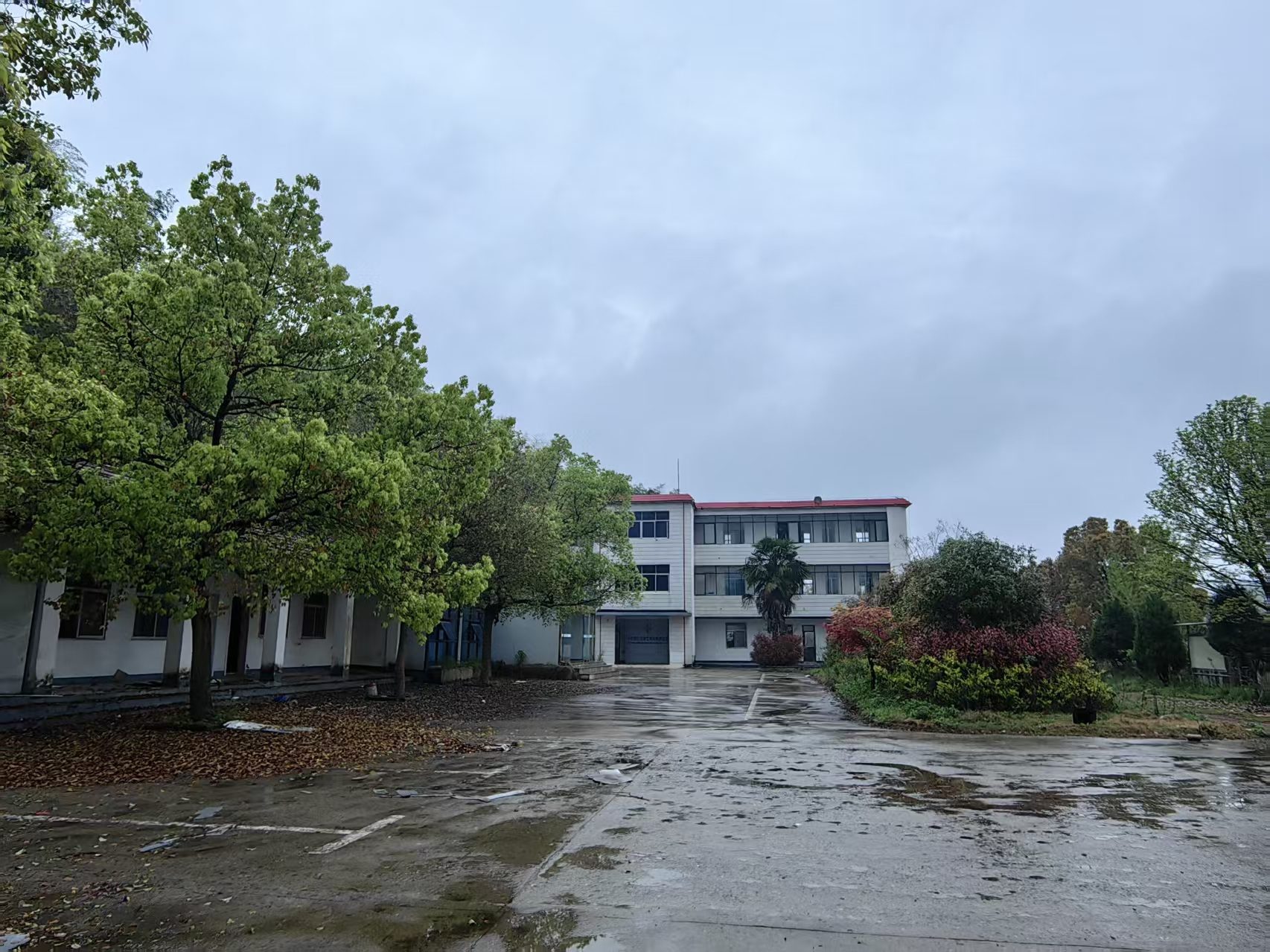 八步小学图5
