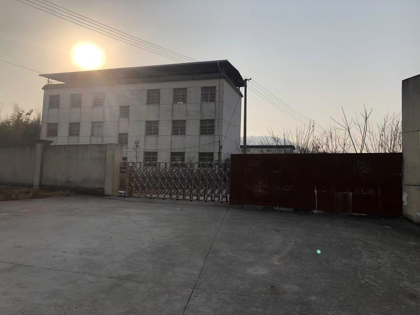 花园小学图2