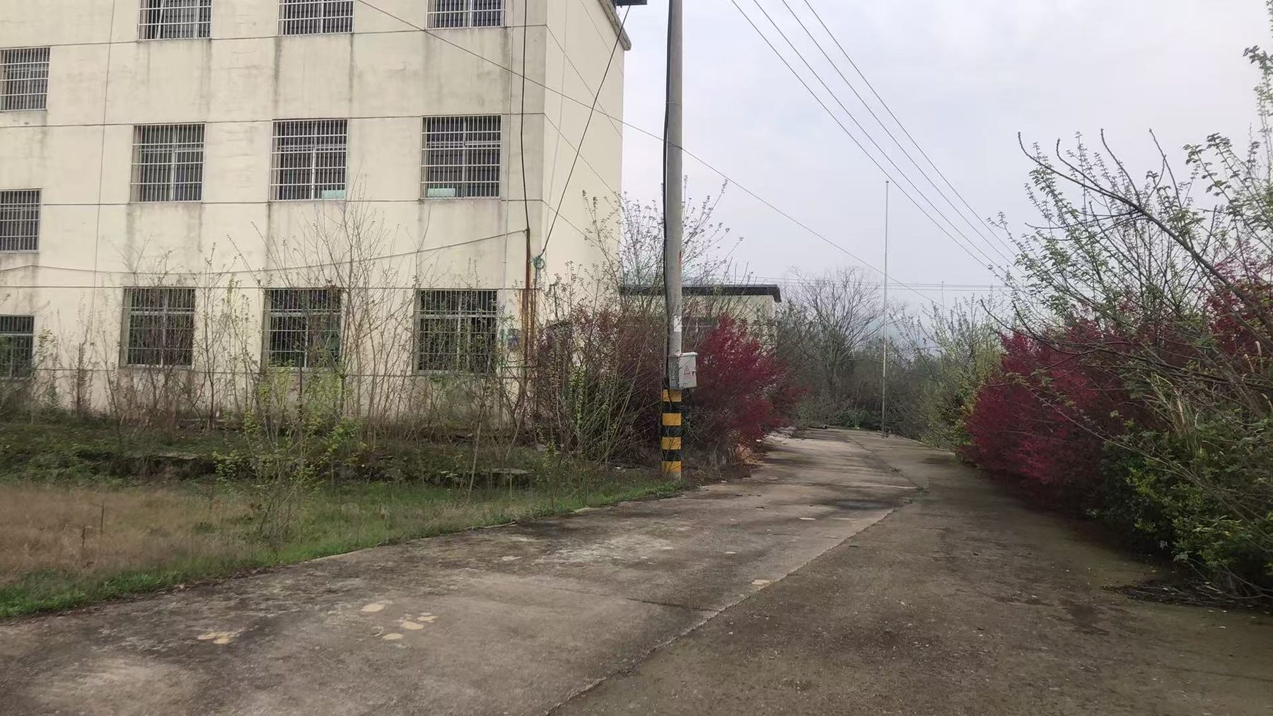 花园小学图5