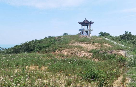 姥山社区双最亭图5