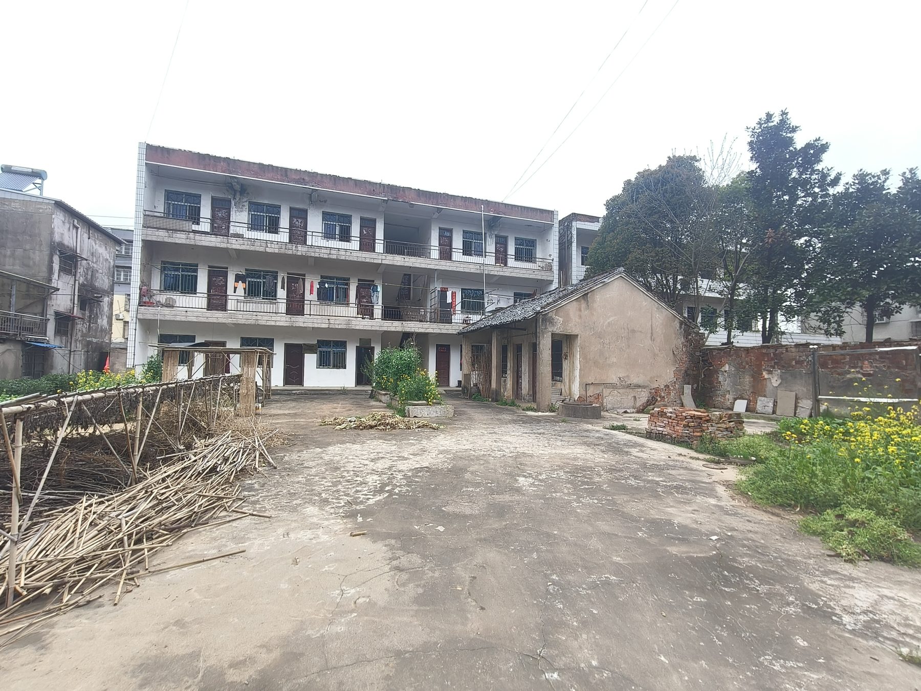 罗岭镇土管所财政所图2