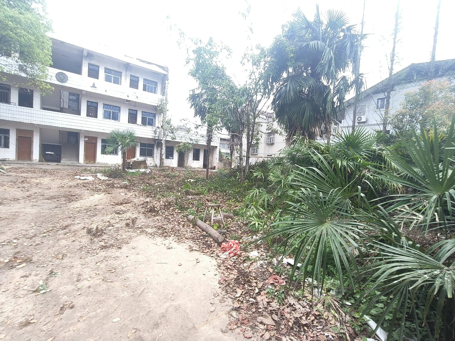 罗岭镇土管所财政所图3
