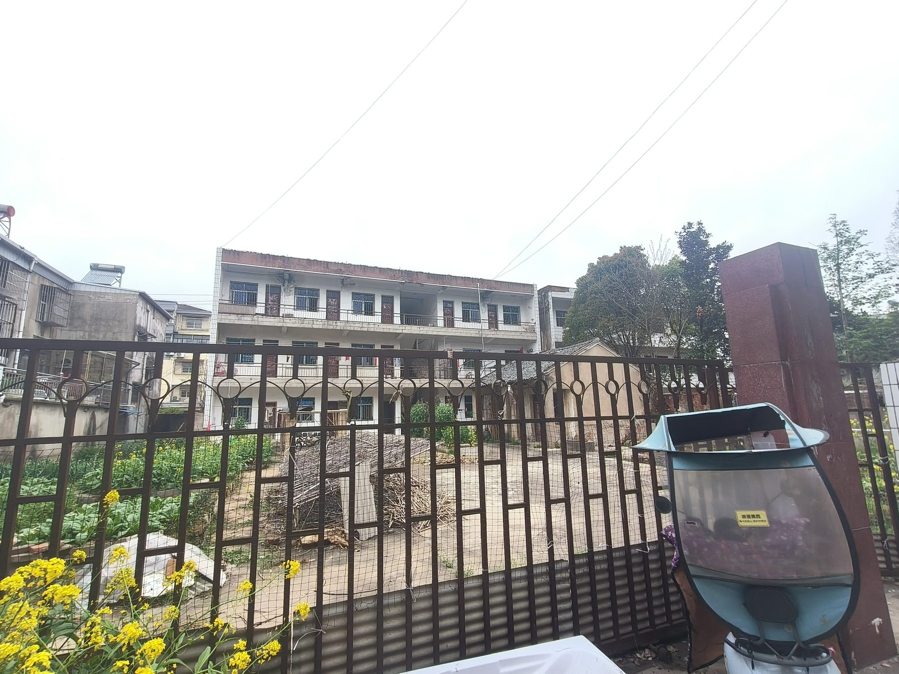 罗岭镇土管所财政所图5