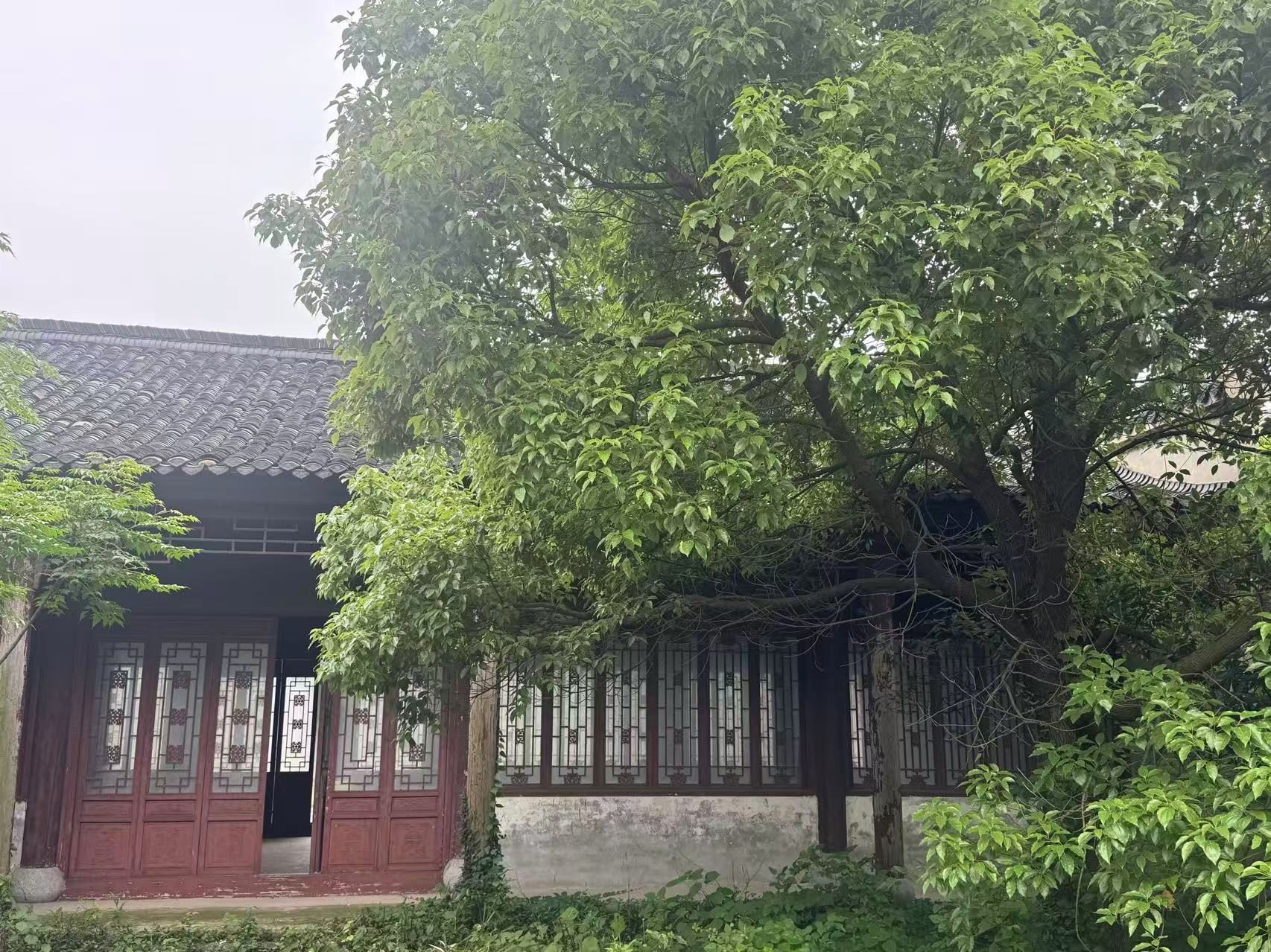 余湾影视基地图3