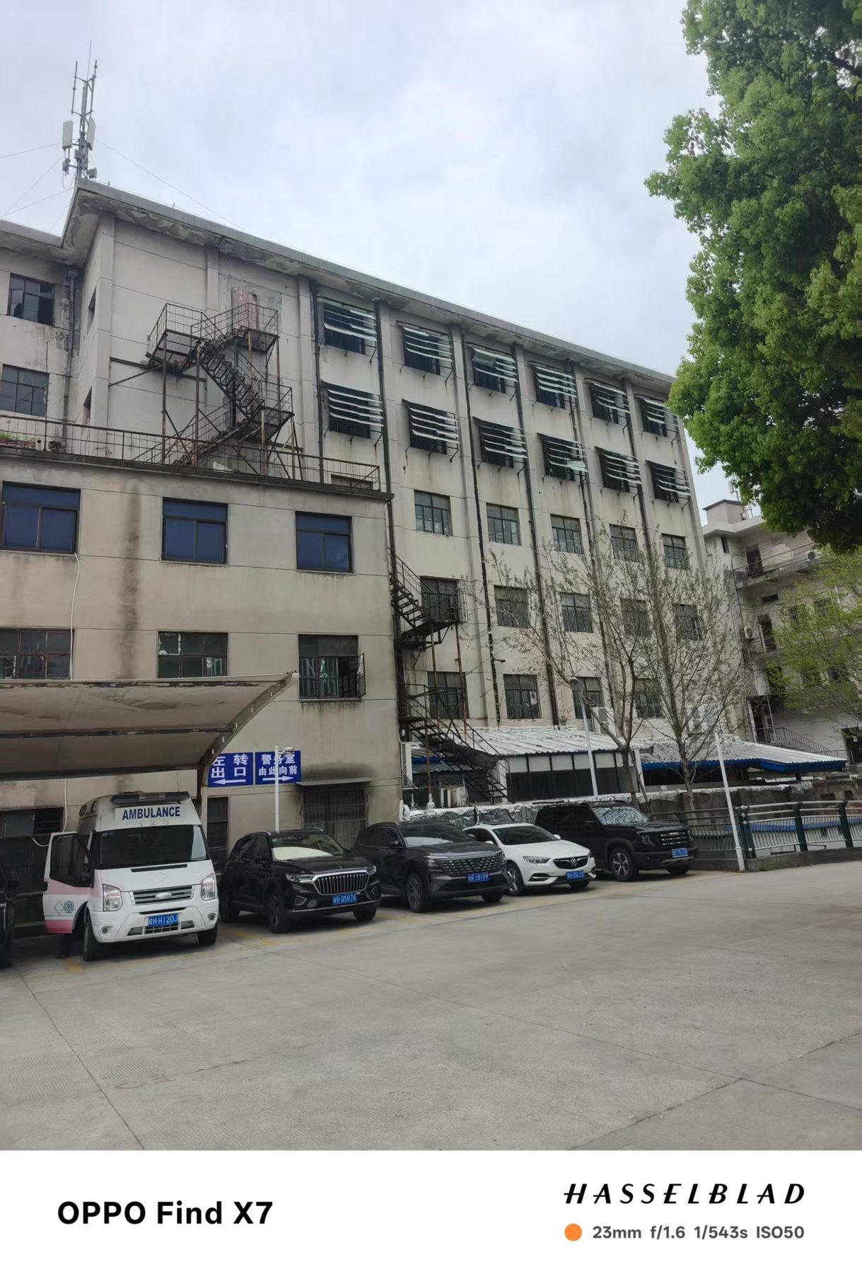 原湖滨制衣厂图8