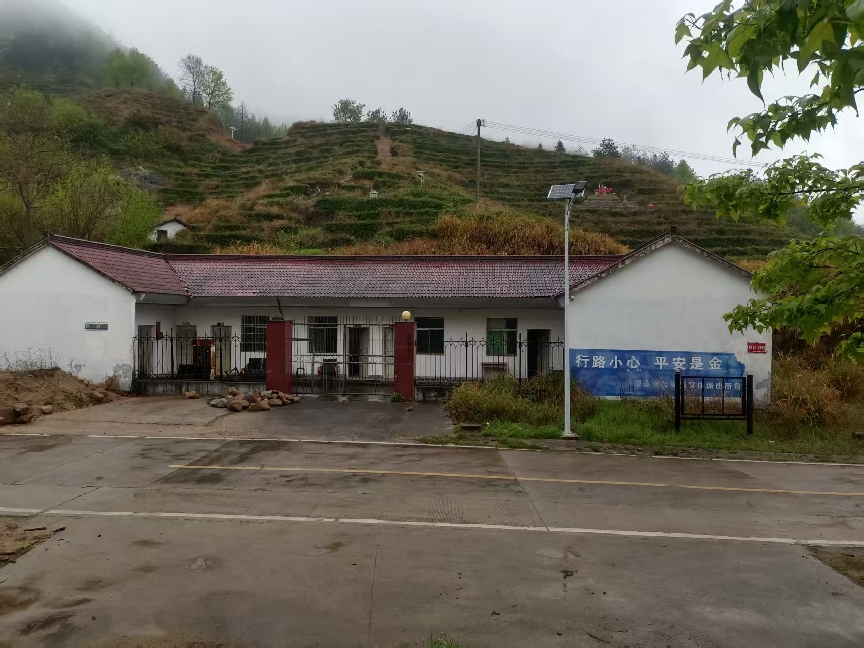 王庄茶厂