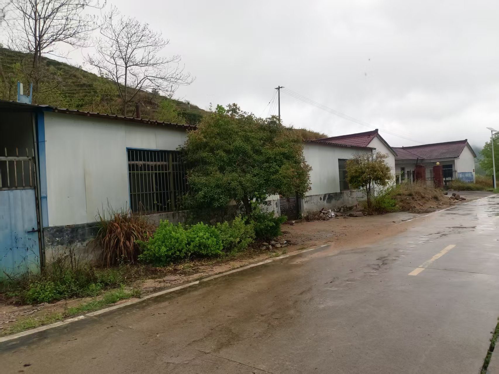 王庄茶厂图3