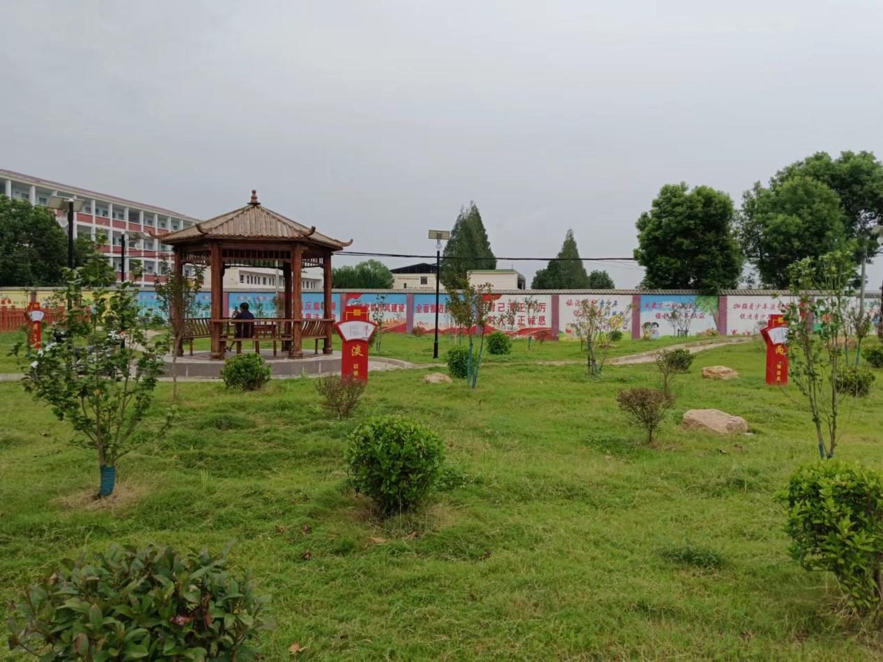 腊树镇口袋公园图2