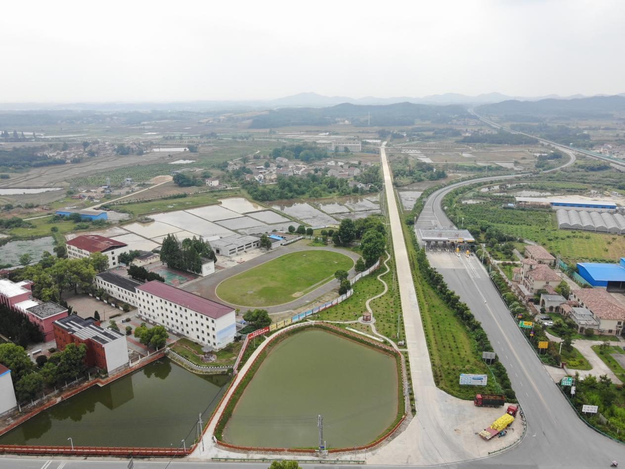 腊树镇口袋公园图3