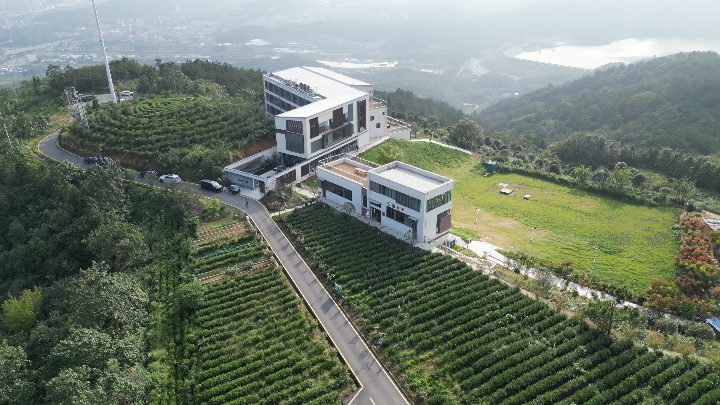 投子山栖民宿户外草坪