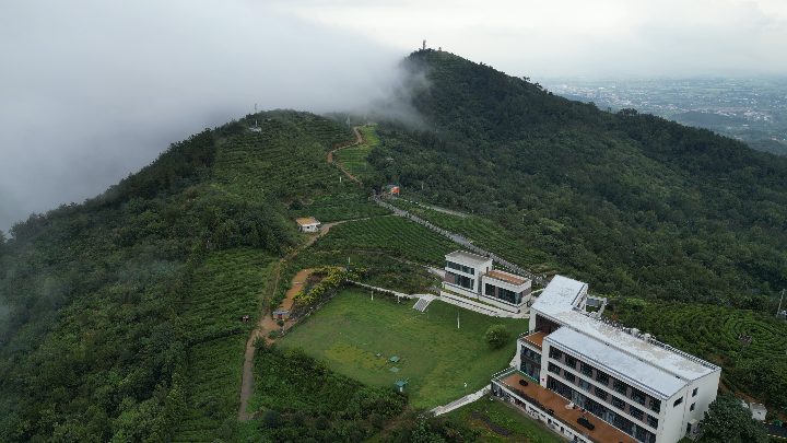 投子山栖民宿户外草坪图4