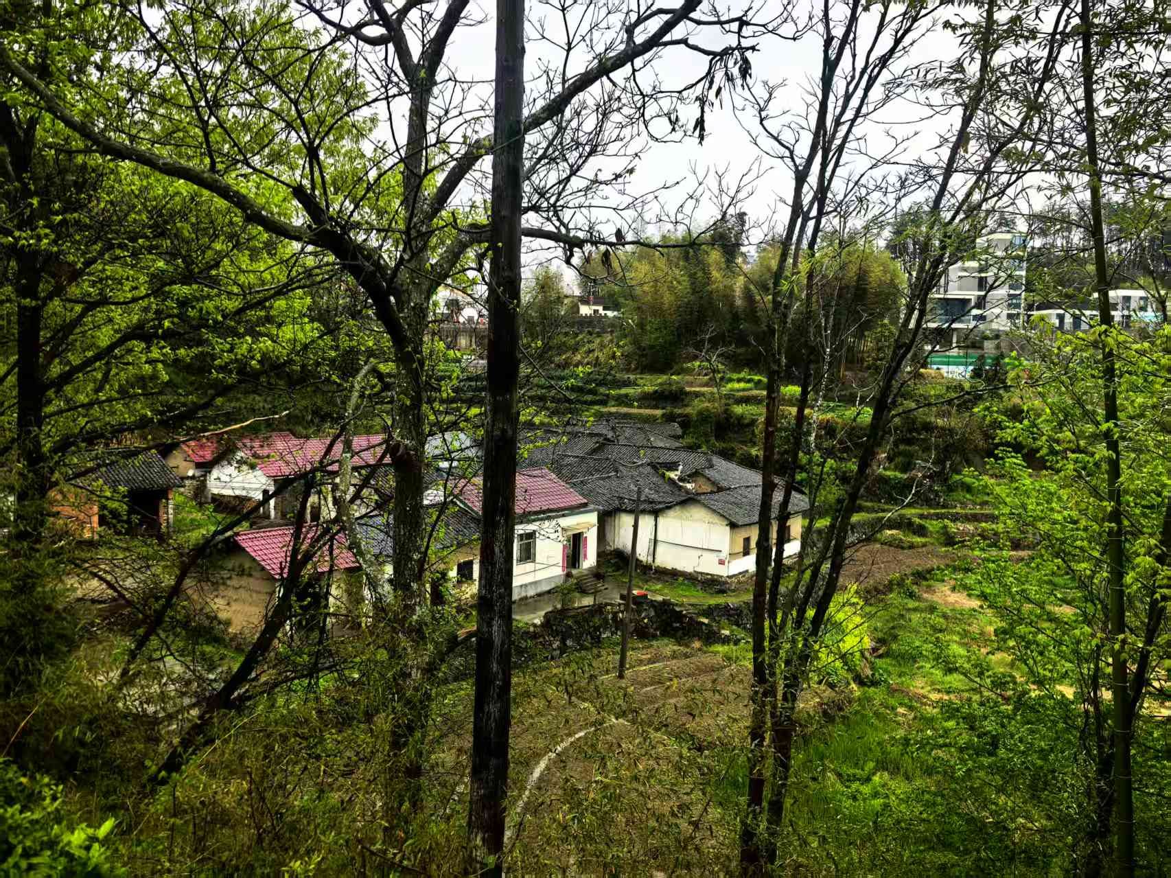 张湾古民居