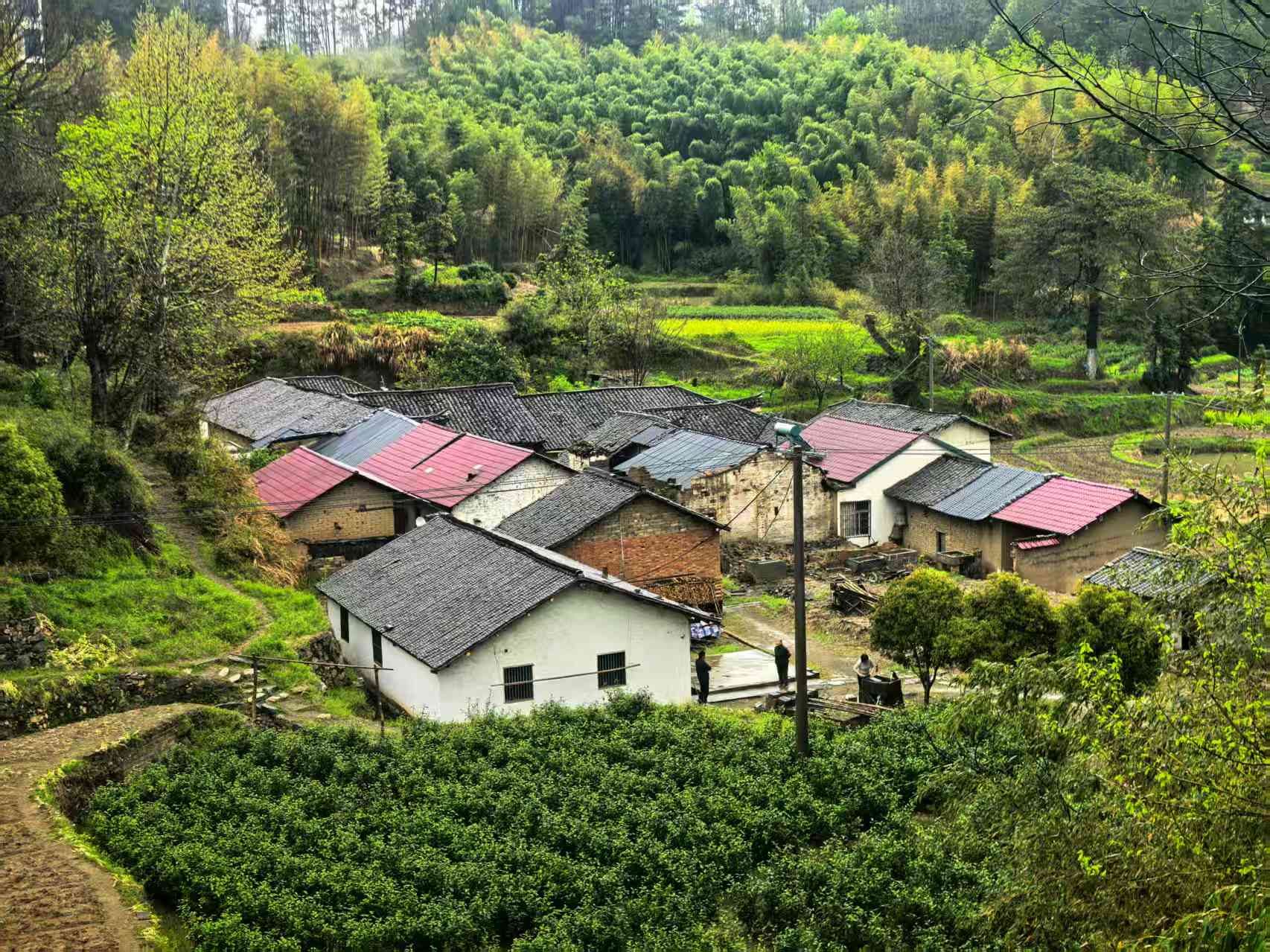 张湾古民居图2