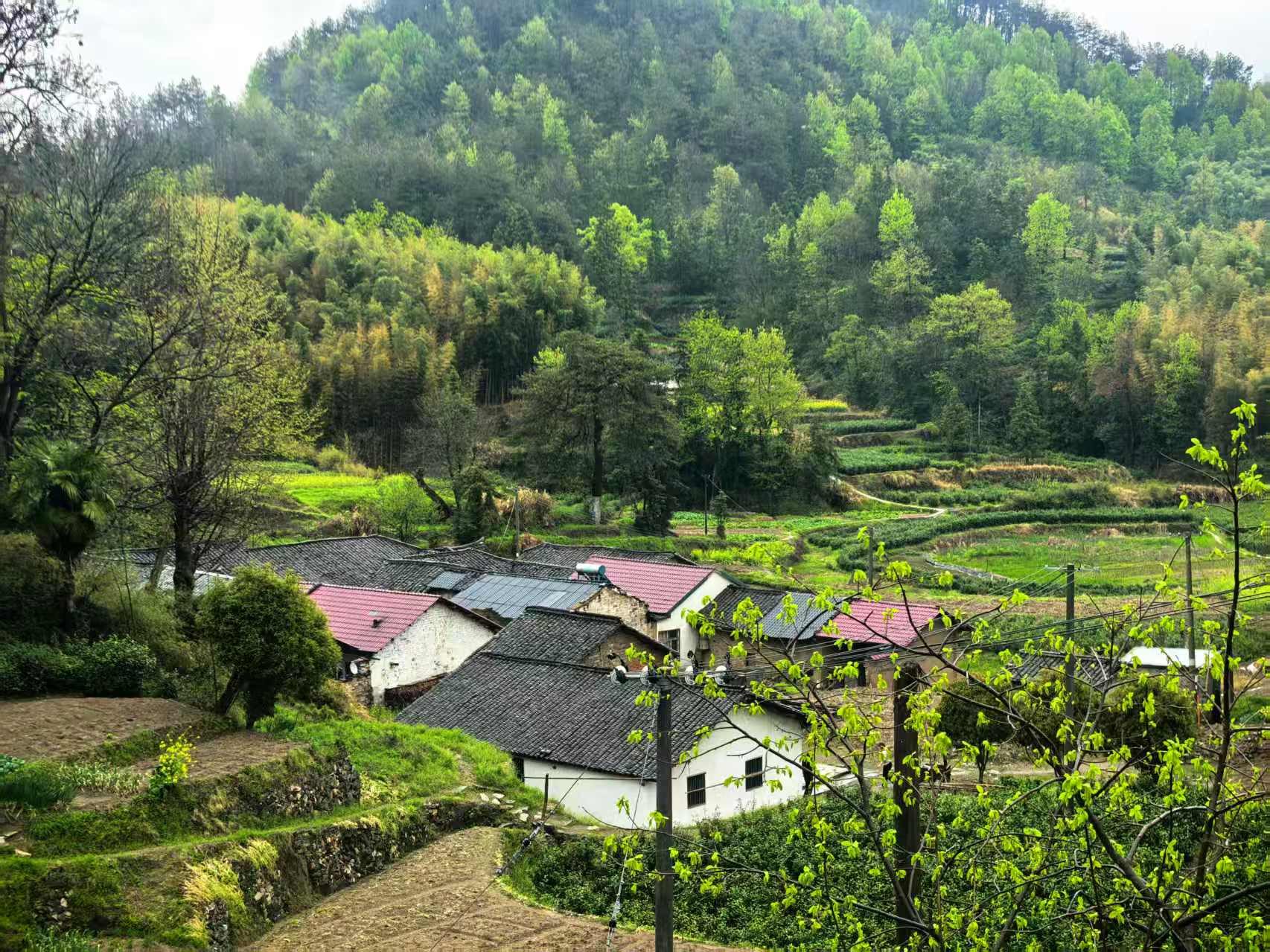 张湾古民居图4