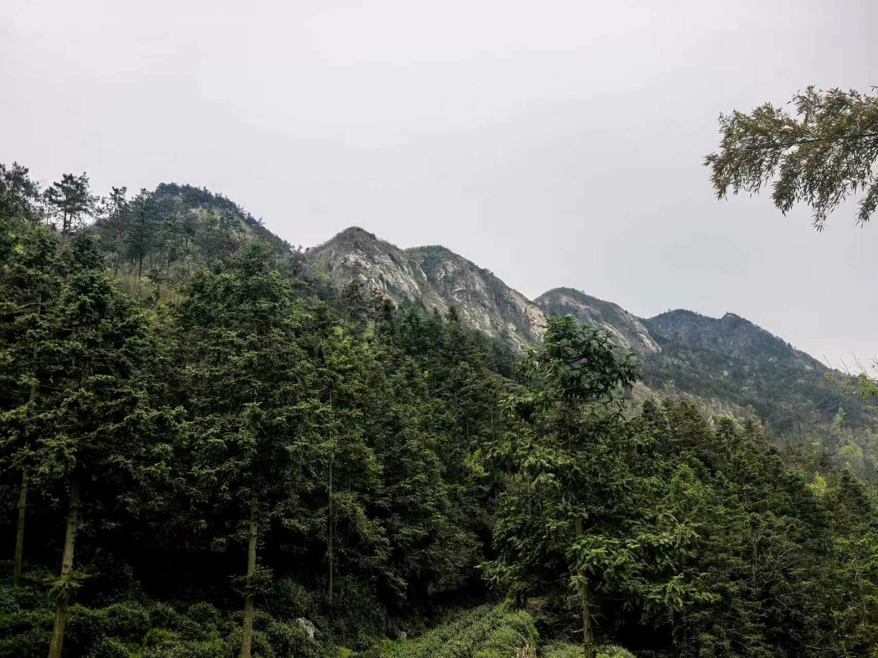 大猫岩和小猫岩景点