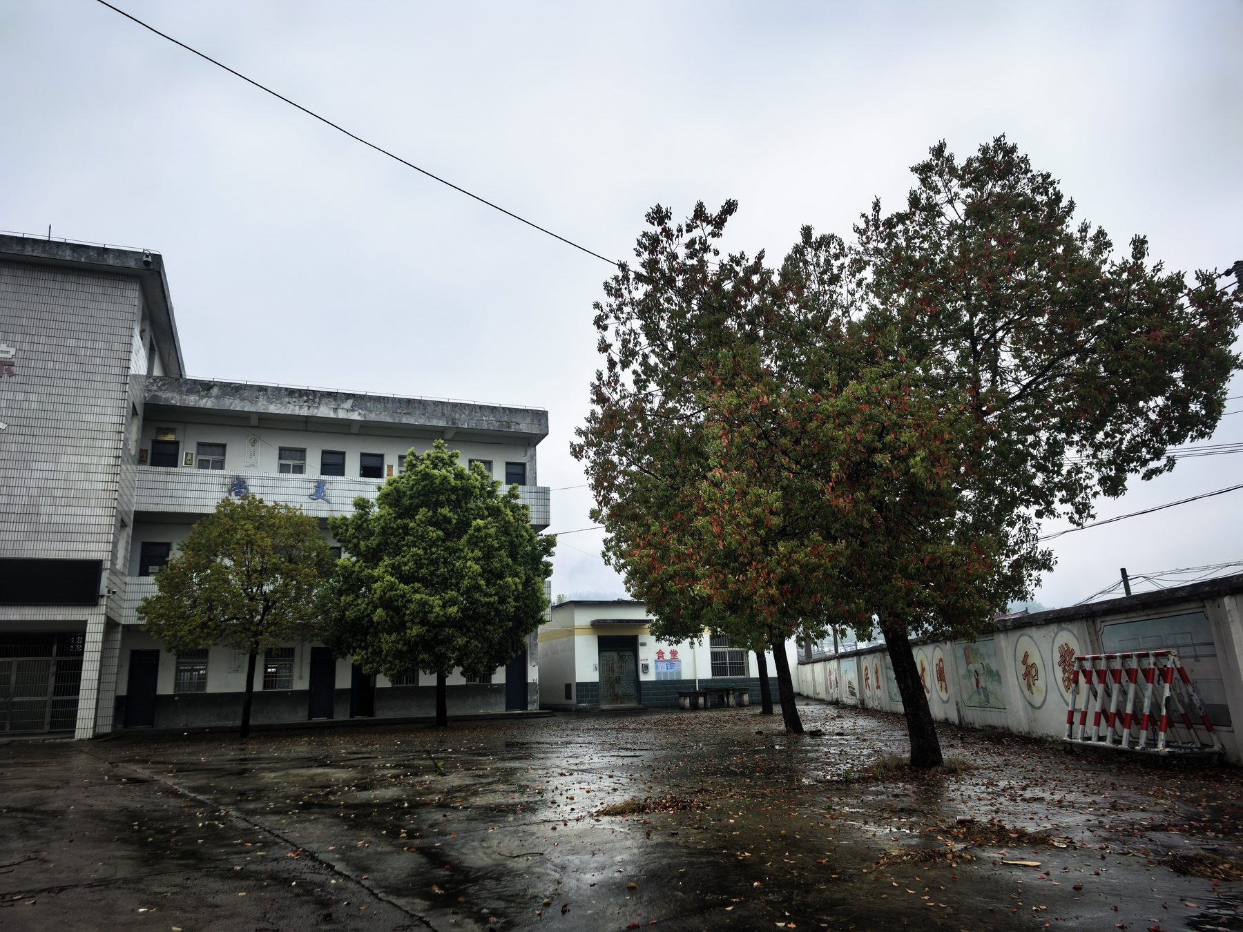 原凤凰小学图3