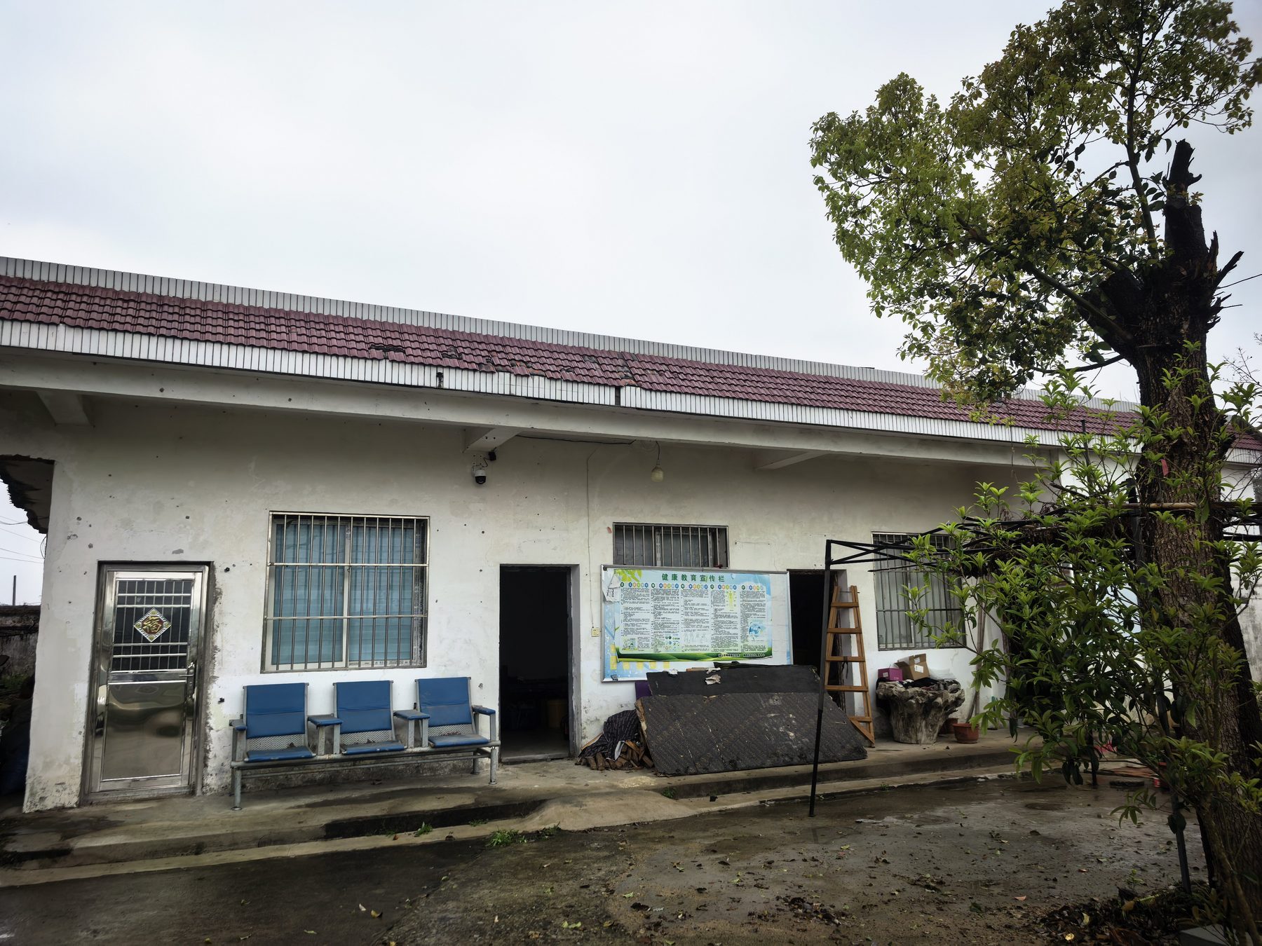 原凤凰小学图5