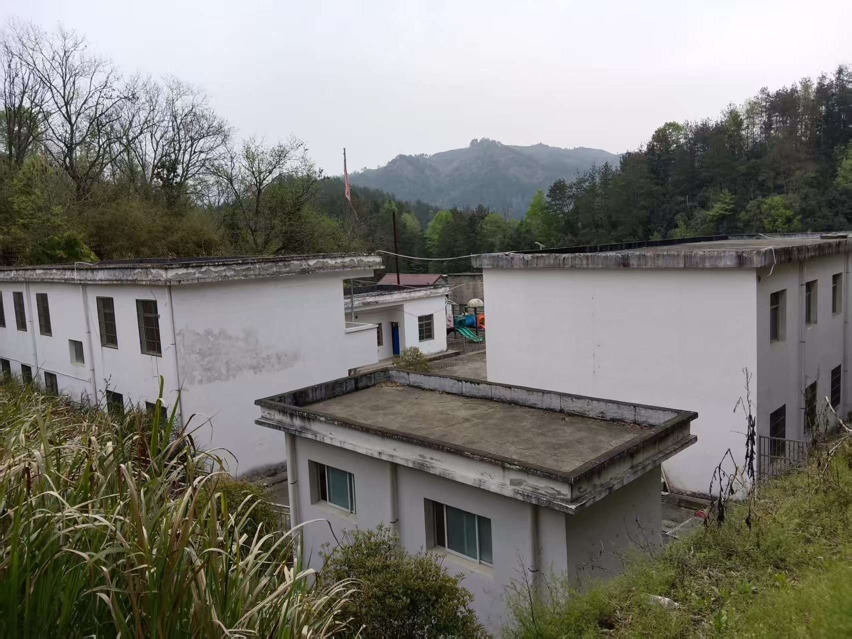 南翔光彩第五十九小学黄岗小学