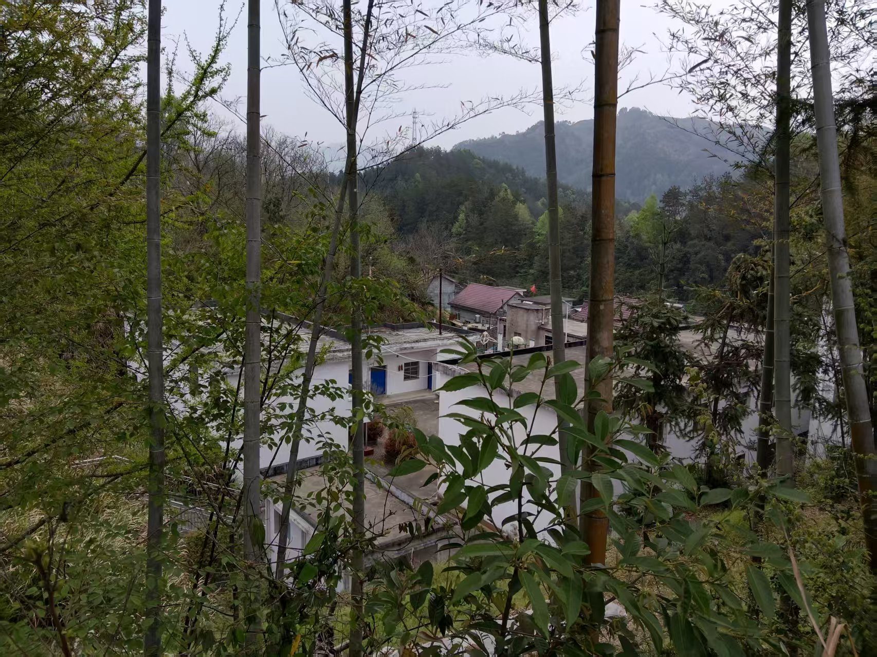 南翔光彩第五十九小学黄岗小学图4