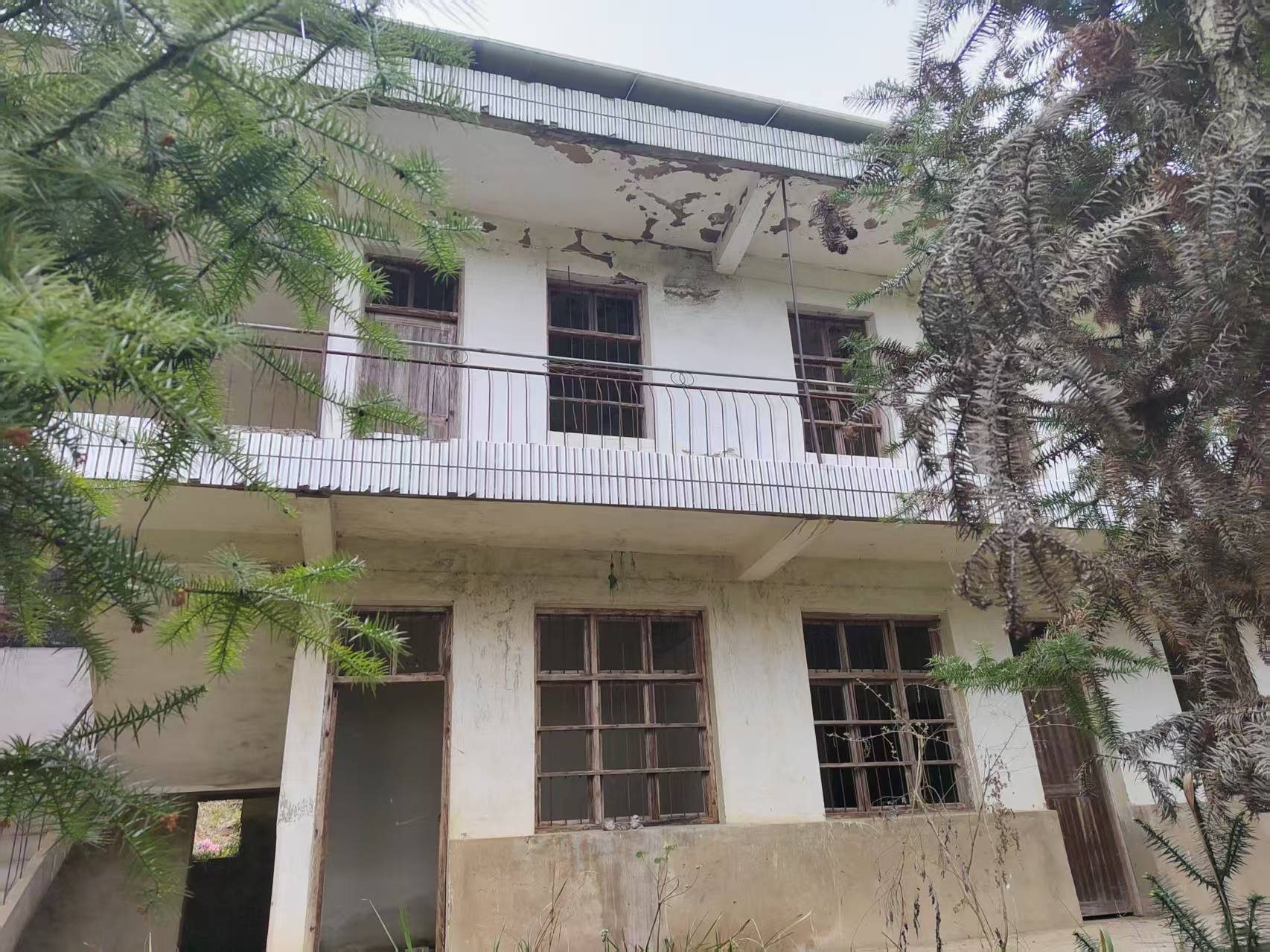 唐畈小学图4