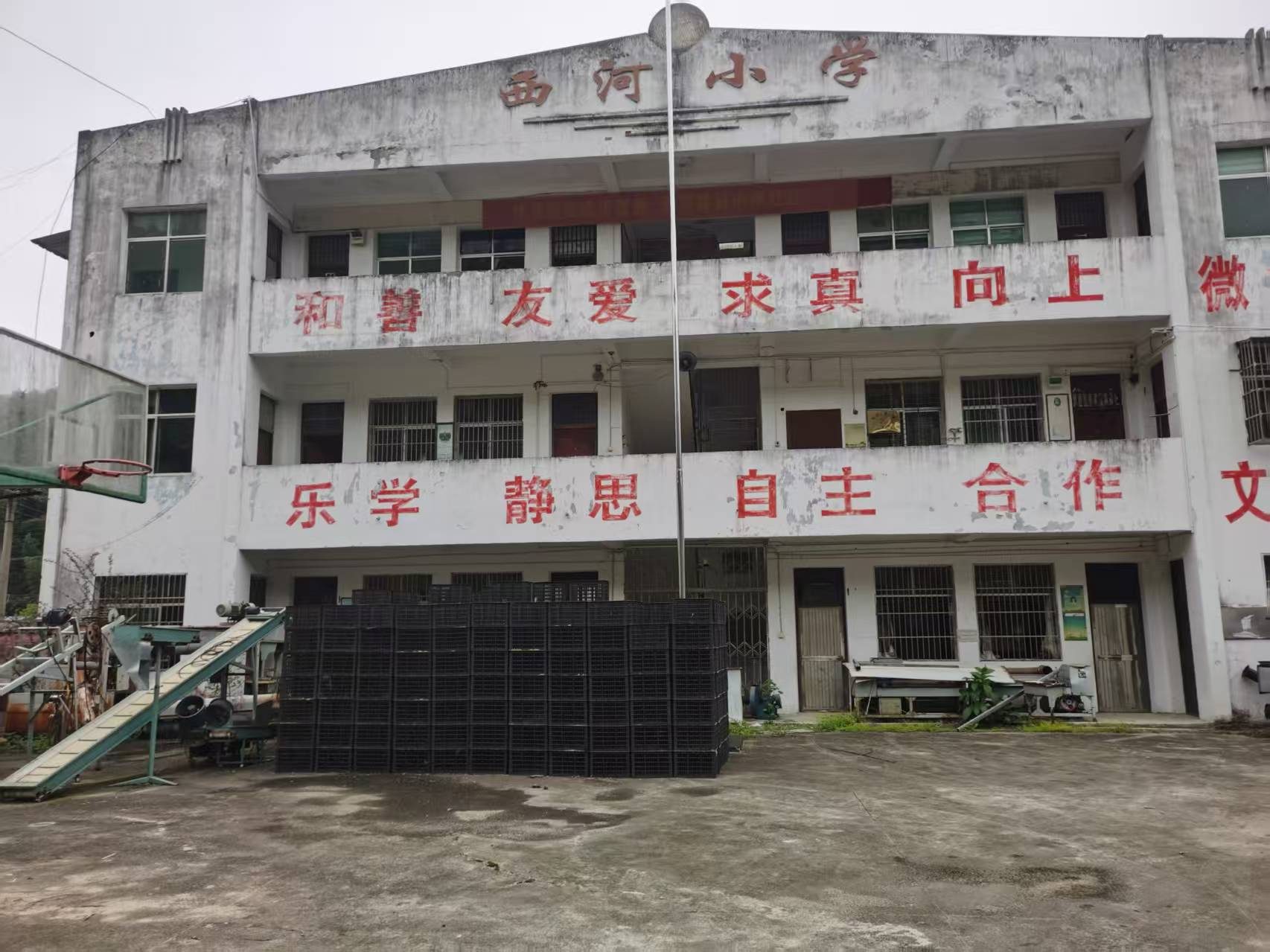 西河村小学图2