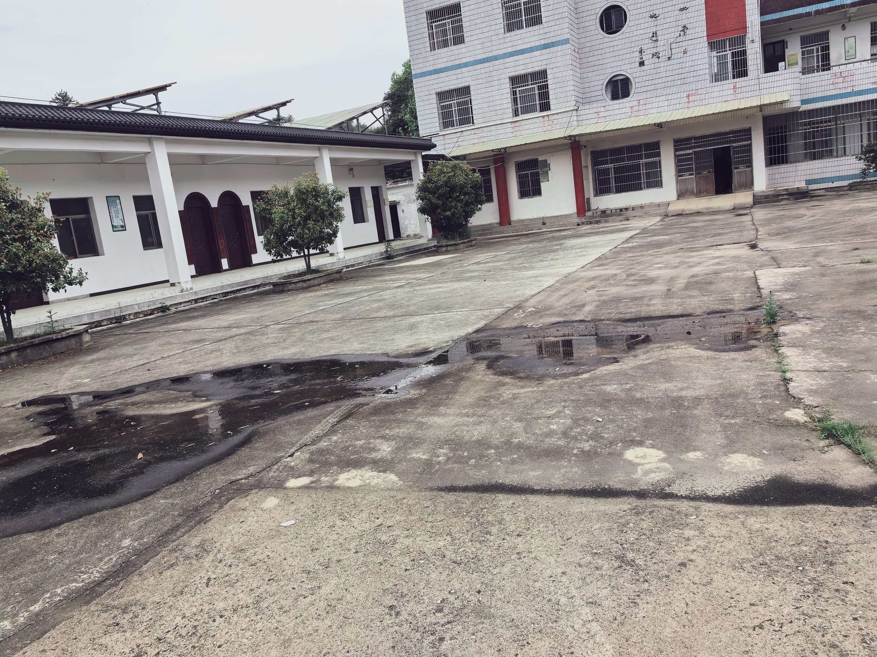 原洪畈小学