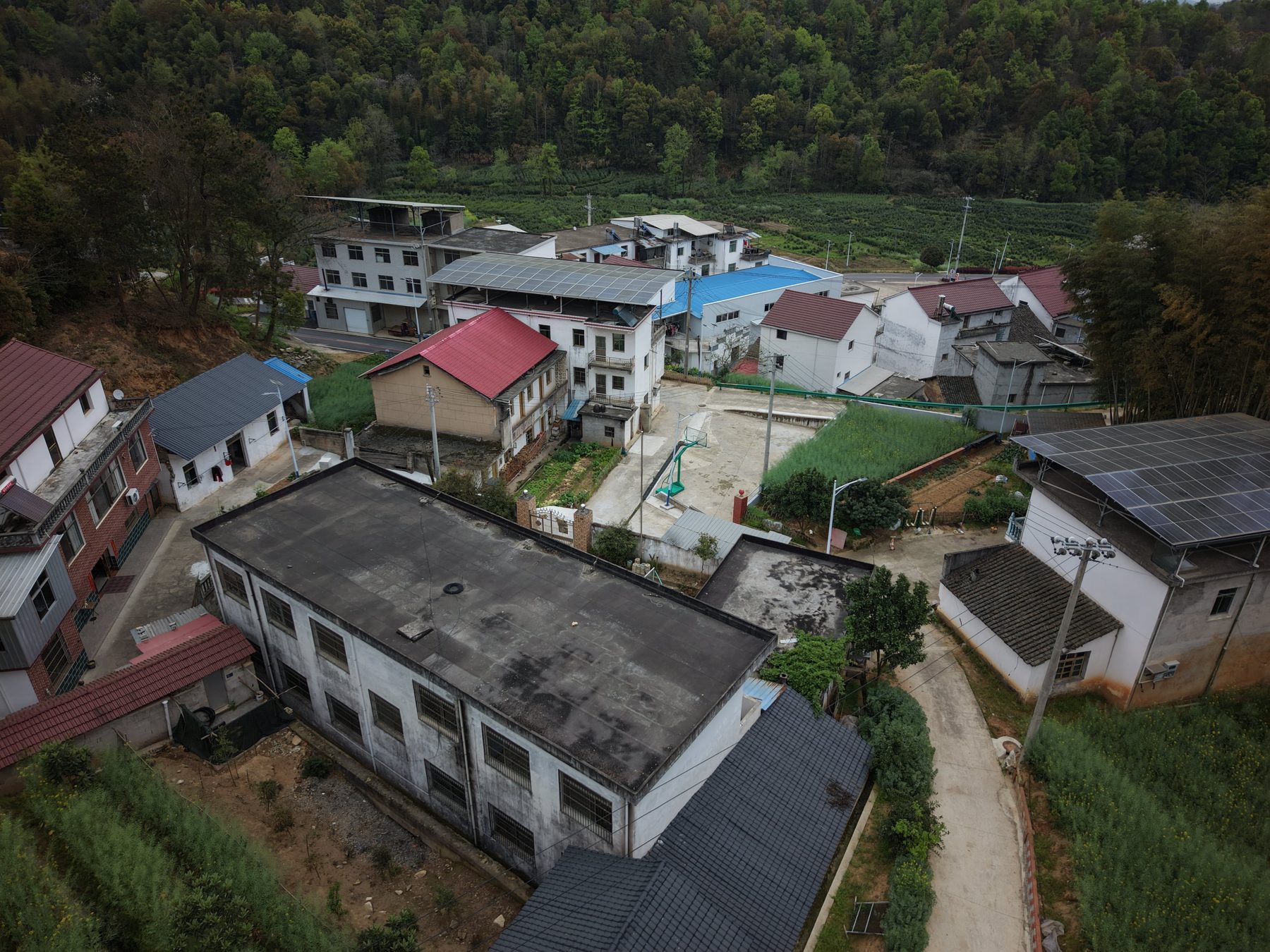 马龙小学图2